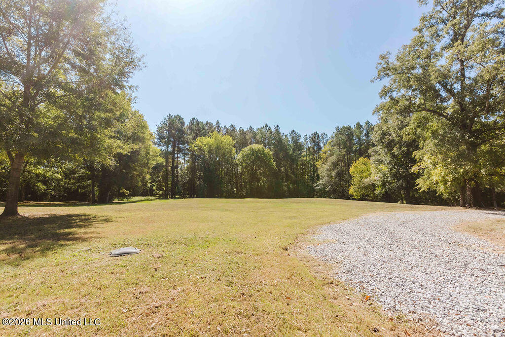 113 Blackberry Creek Road Property Photo 66