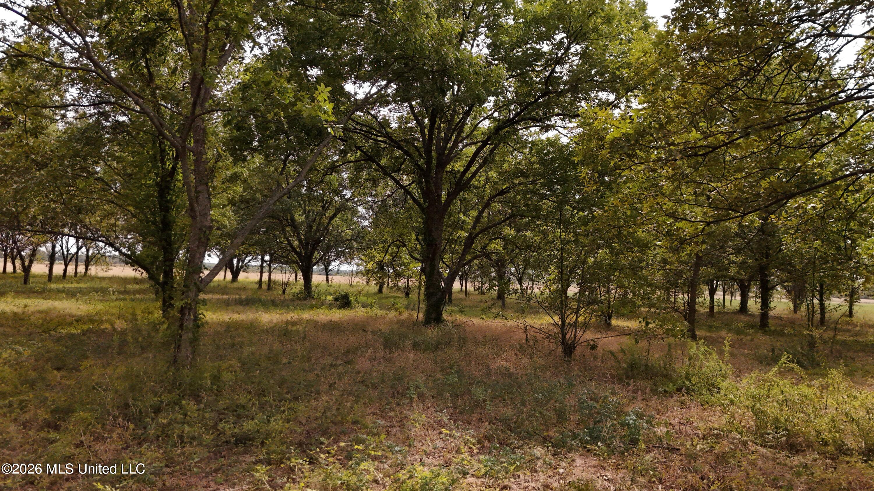 Interstate Road Property Photo 3