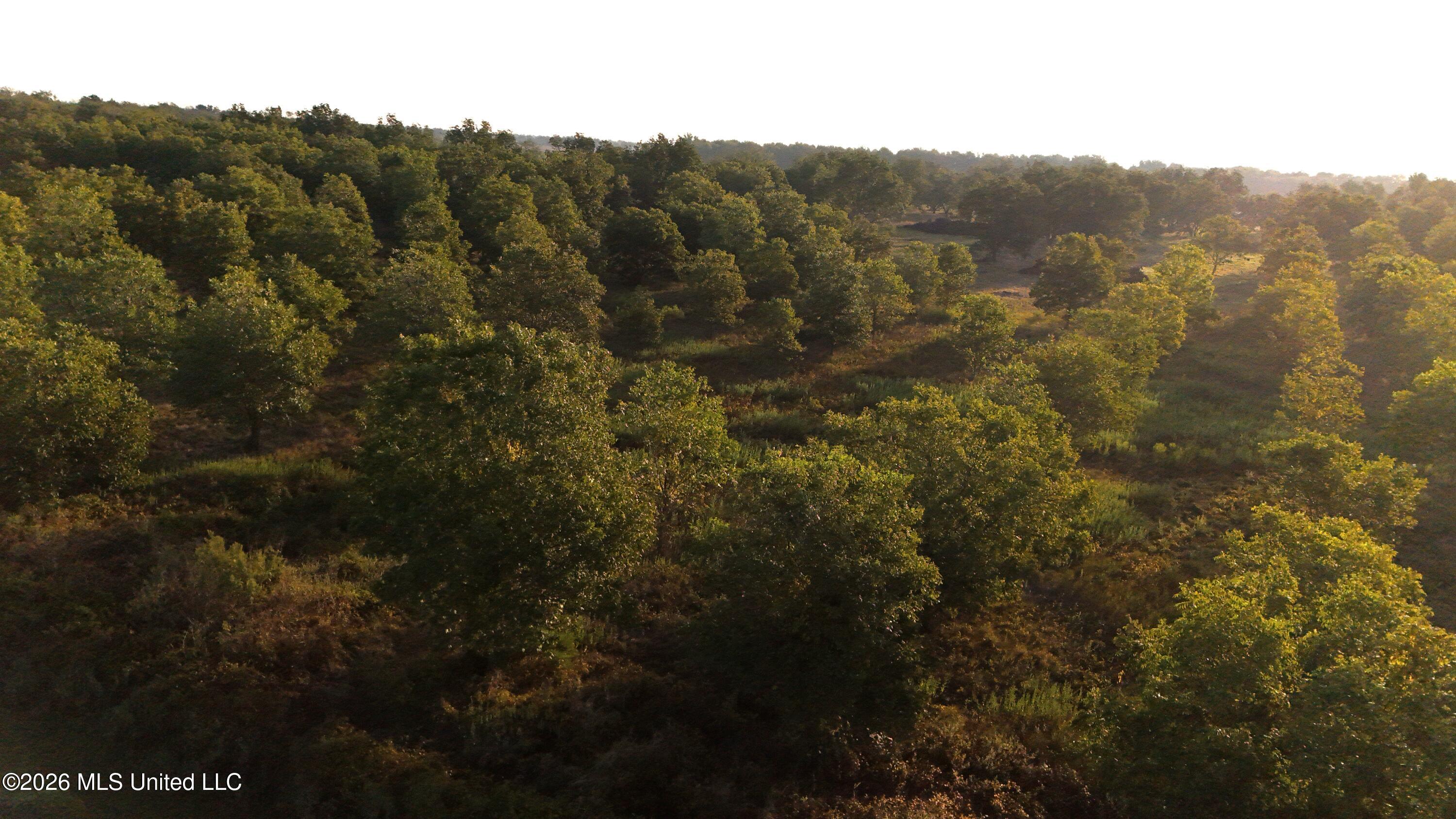 Interstate Road Property Photo 11