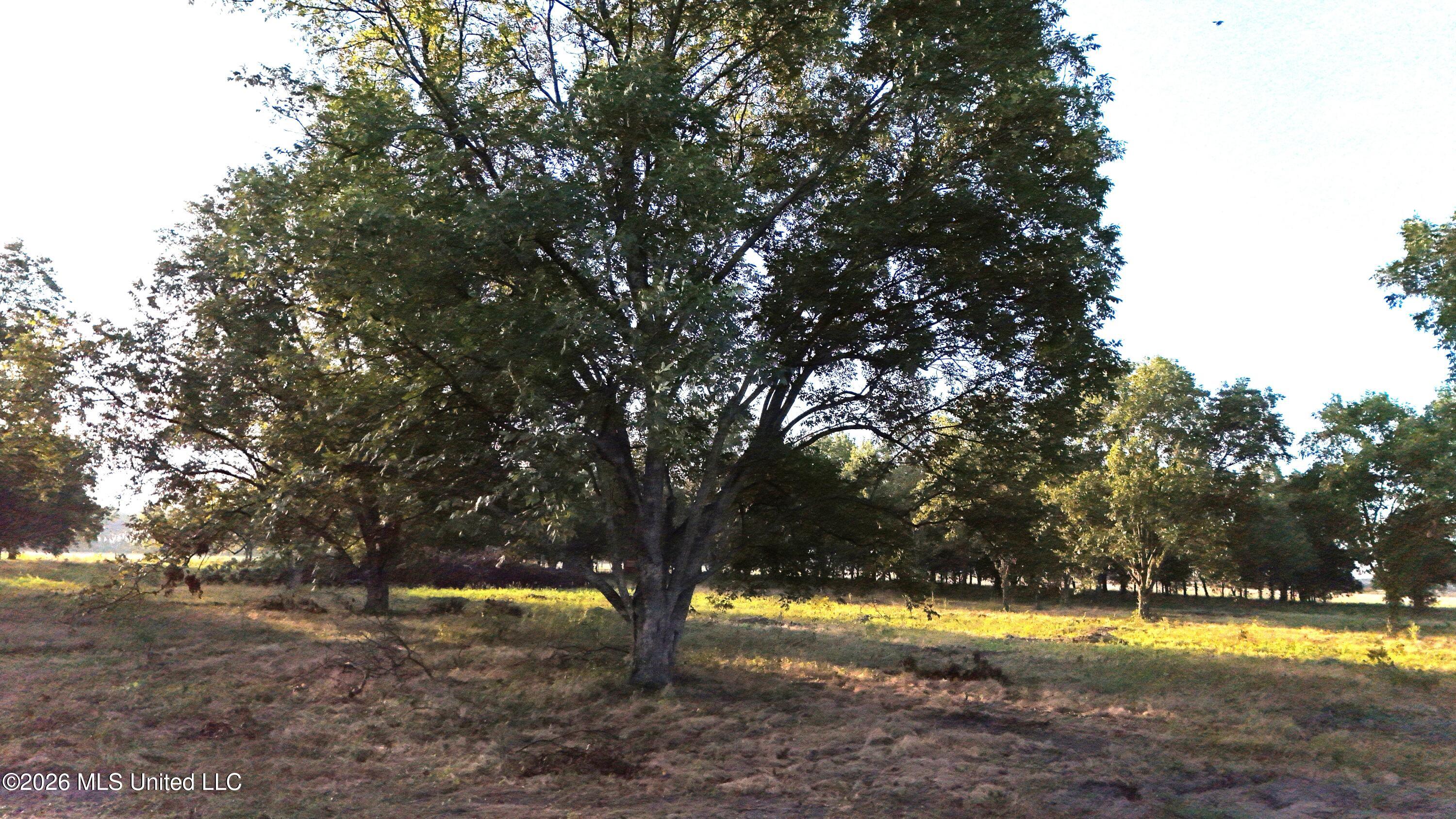 Interstate Road Property Photo 15