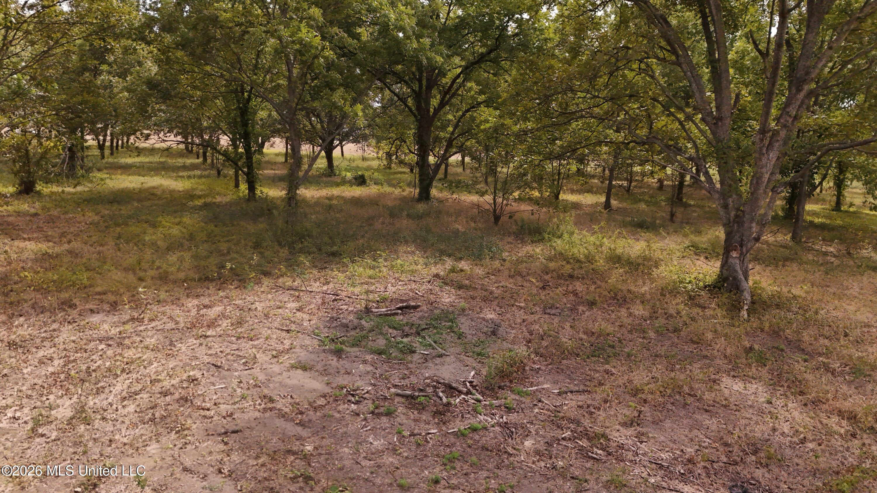 Interstate Road Property Photo 28