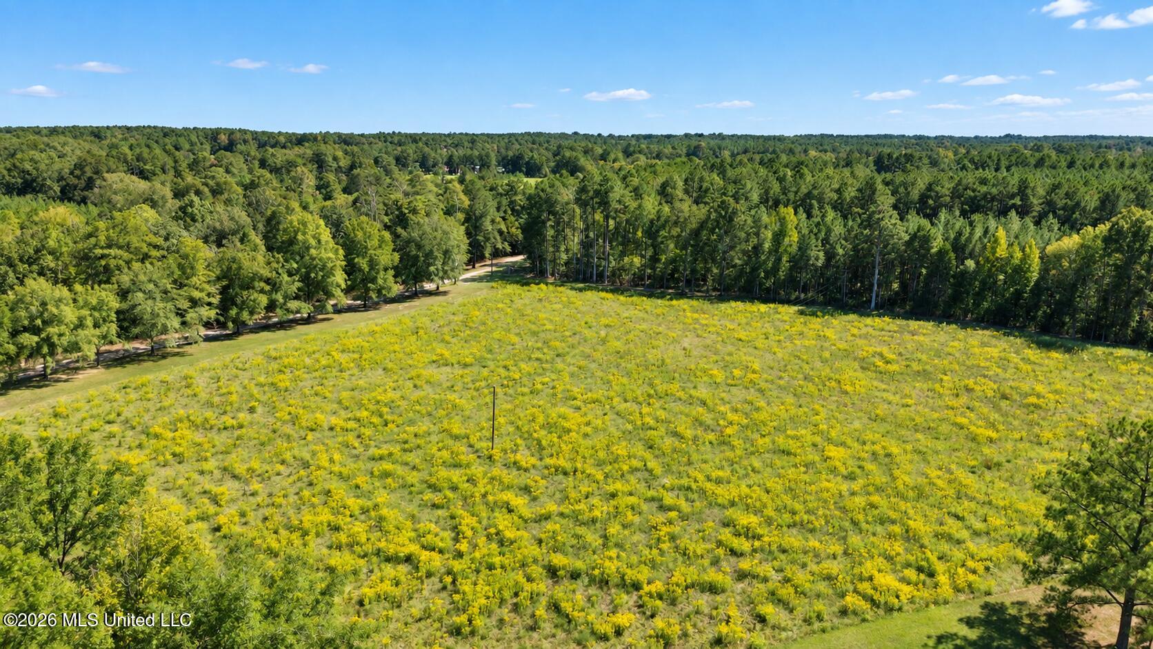 Country Place Property Photo 2