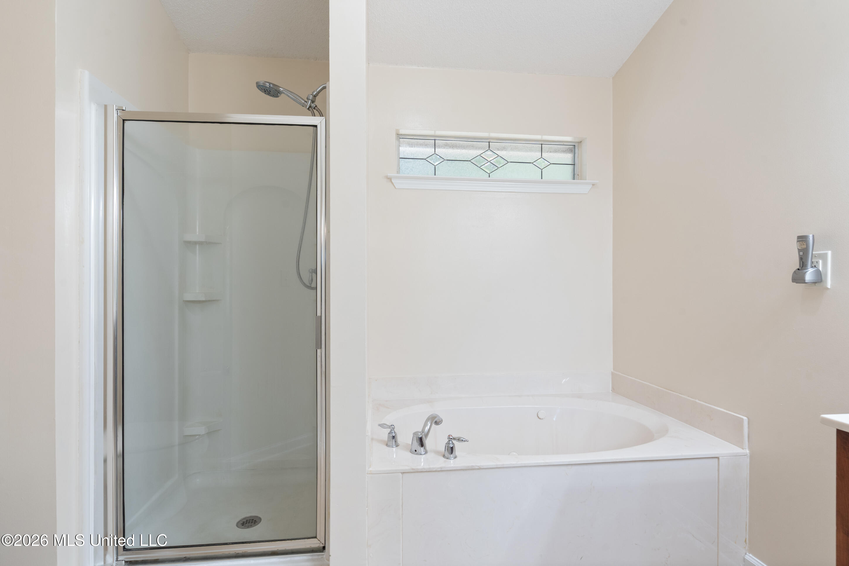 6746 White Hawk Lane Property Photo 15