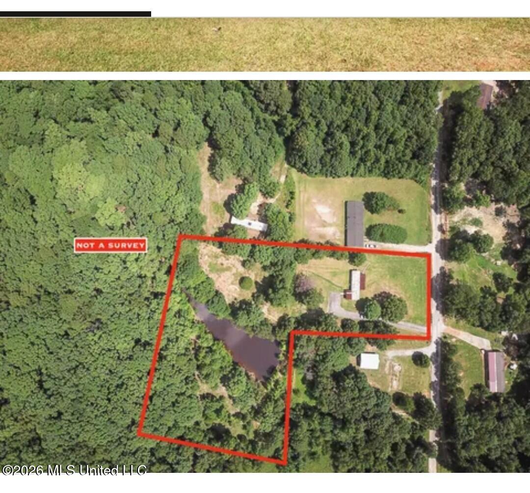 261 County Road 410 Property Photo 11