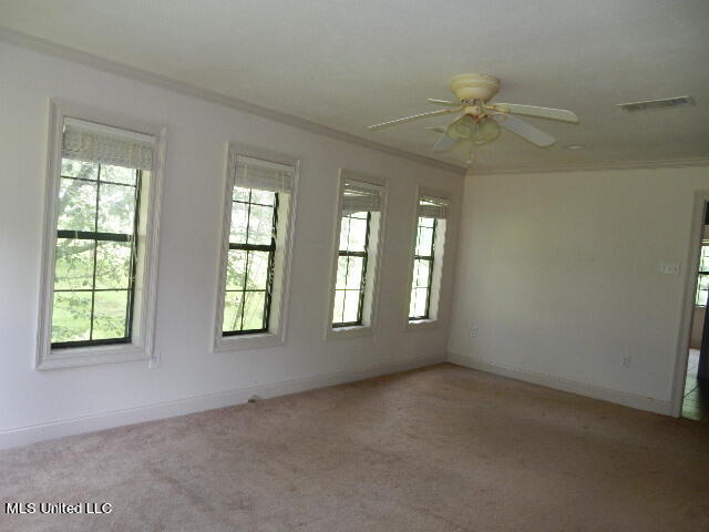 304 Old Highway 21 Property Photo 16