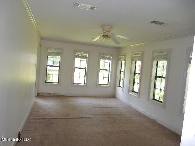 304 Old Highway 21 Property Photo 17