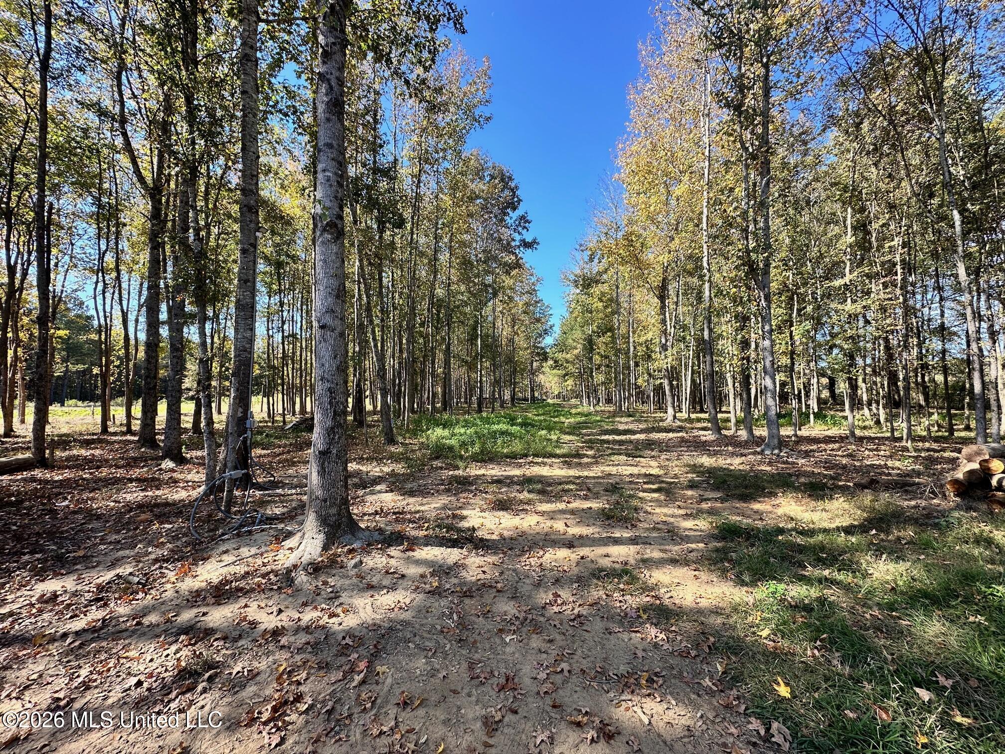 Swamp Road Property Photo 3