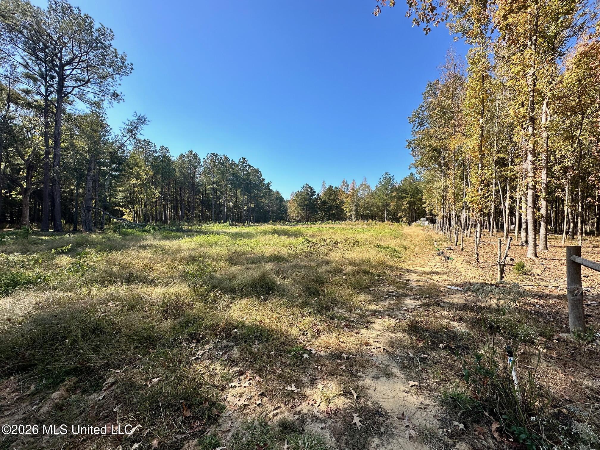 Swamp Road Property Photo 5