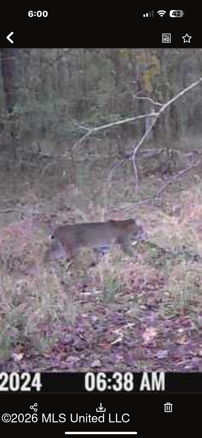 Swamp Road Property Photo 8