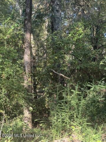 01 N 35 Highway Property Photo 3
