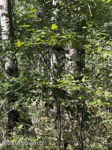 01 N 35 Highway Property Photo 8