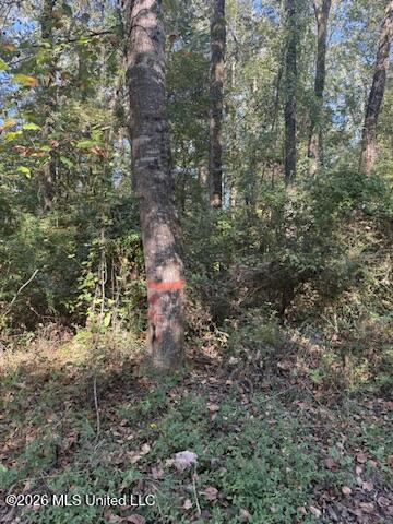 01 N 35 Highway Property Photo 11