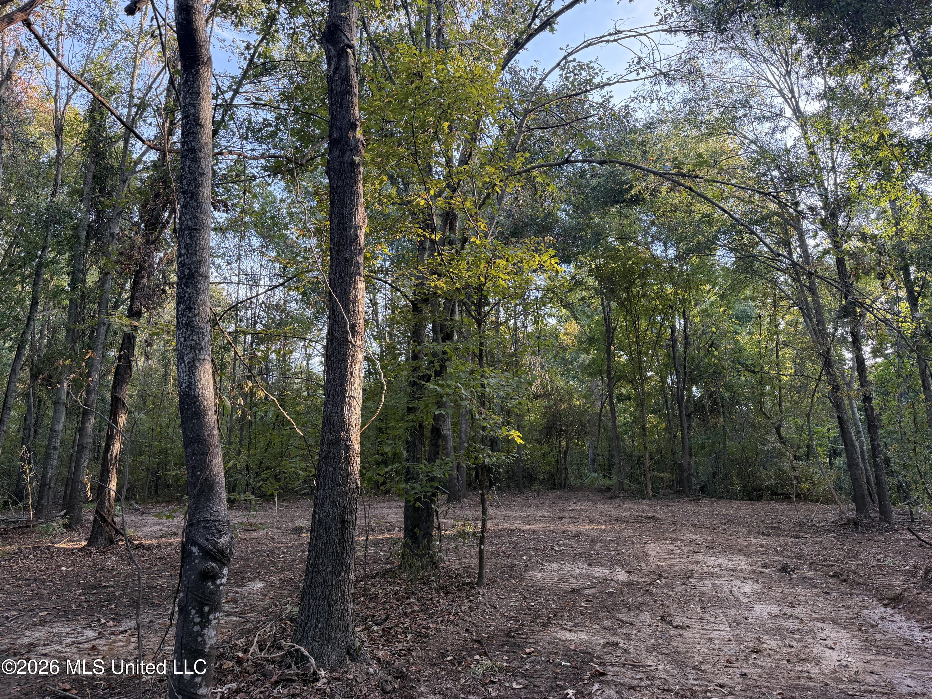 0 Judkins Road Property Photo 1