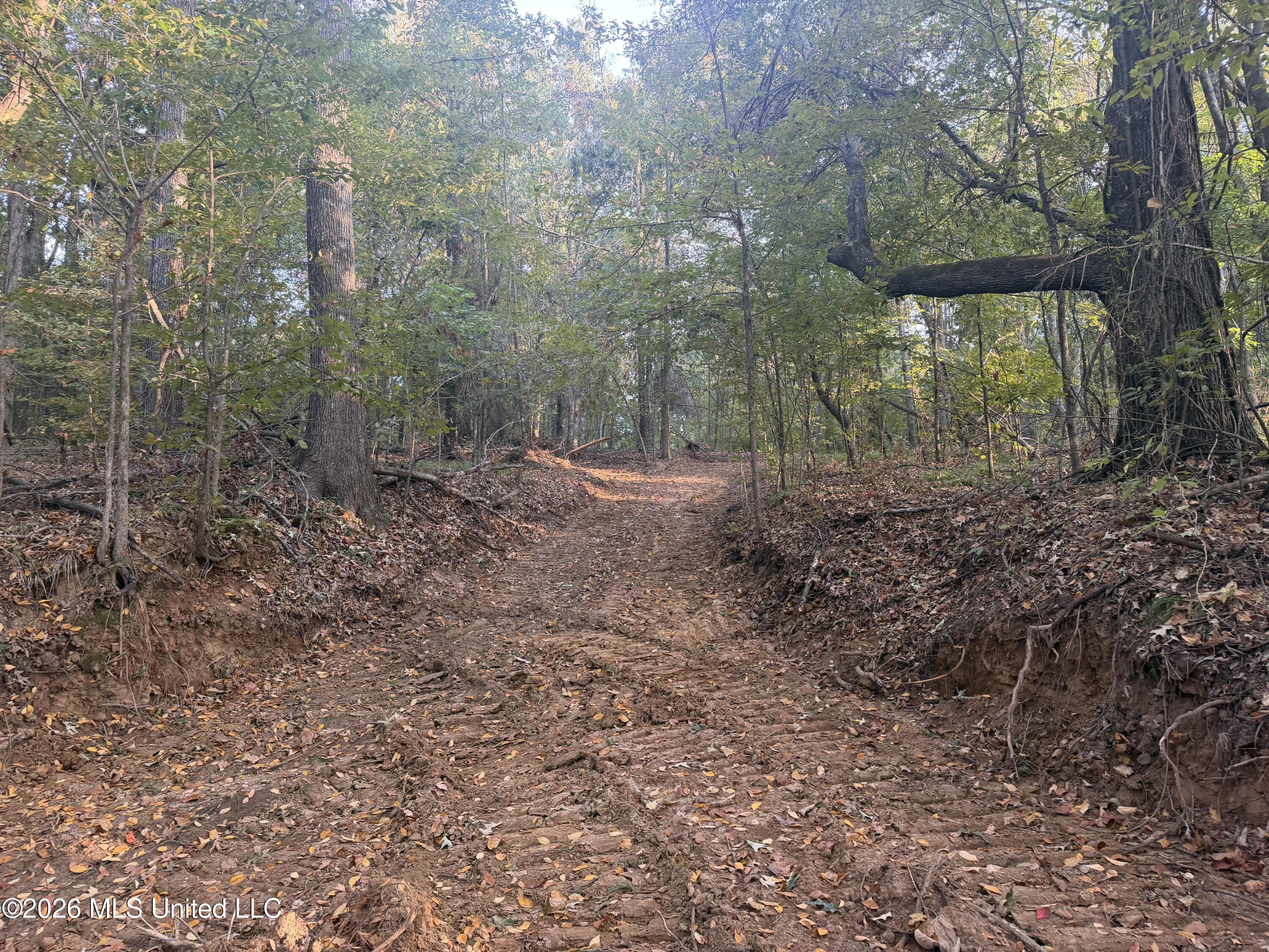 0 Judkins Road Property Photo 2