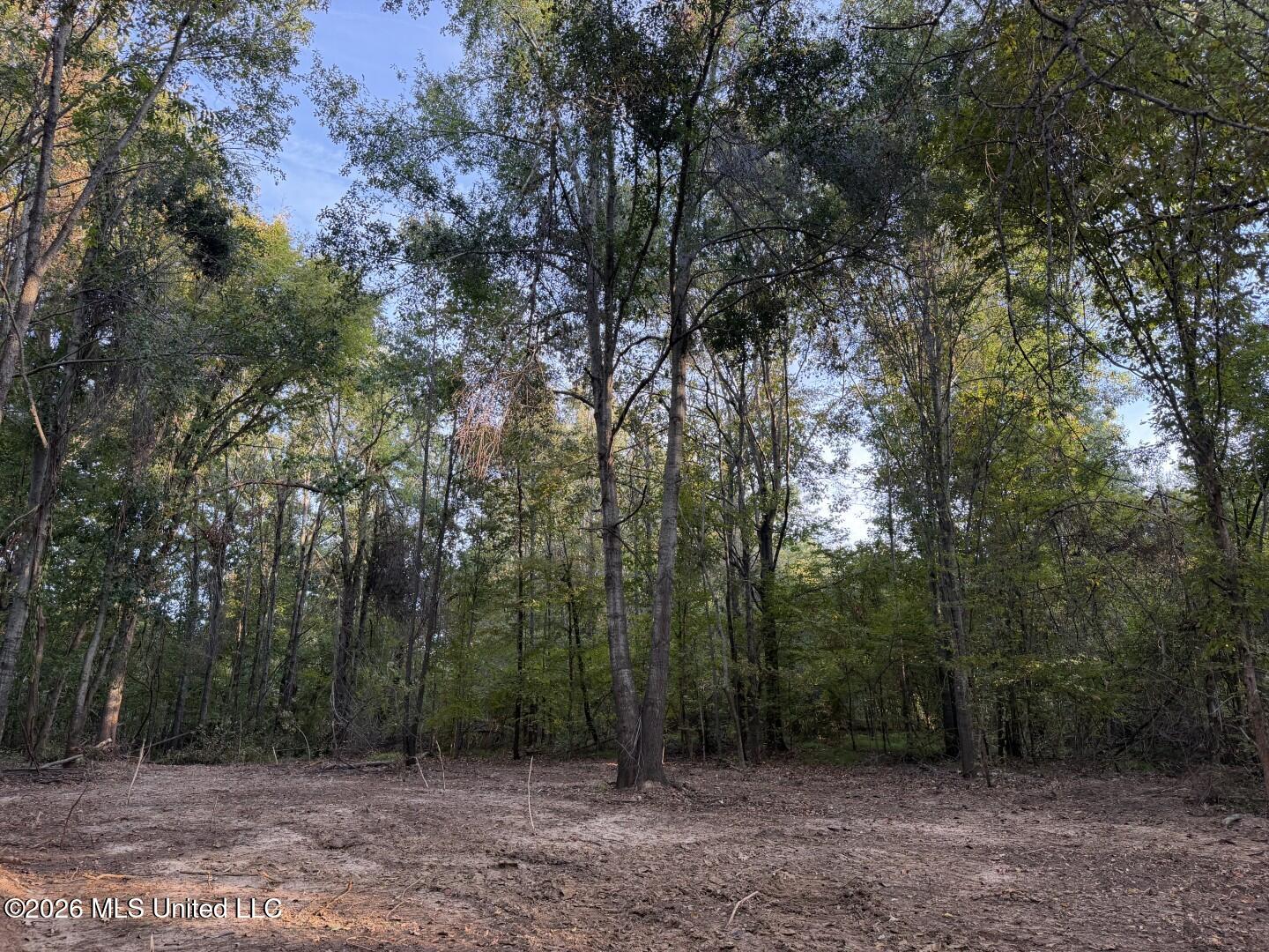 0 Judkins Road Property Photo 18
