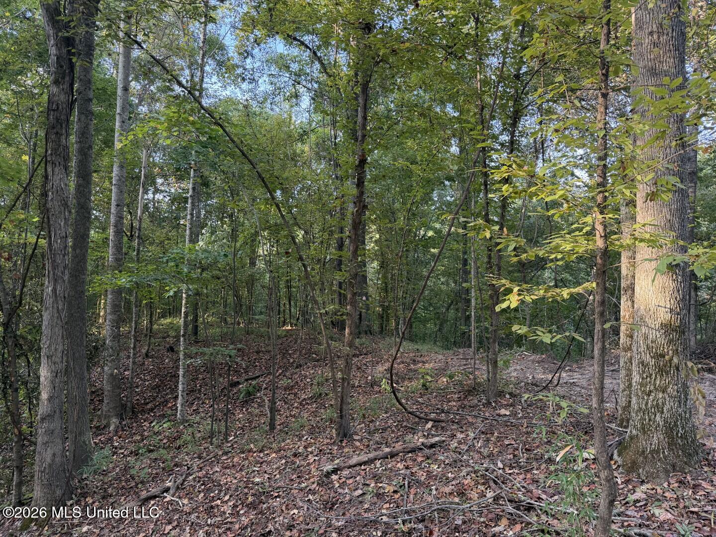 0 Judkins Road Property Photo 25