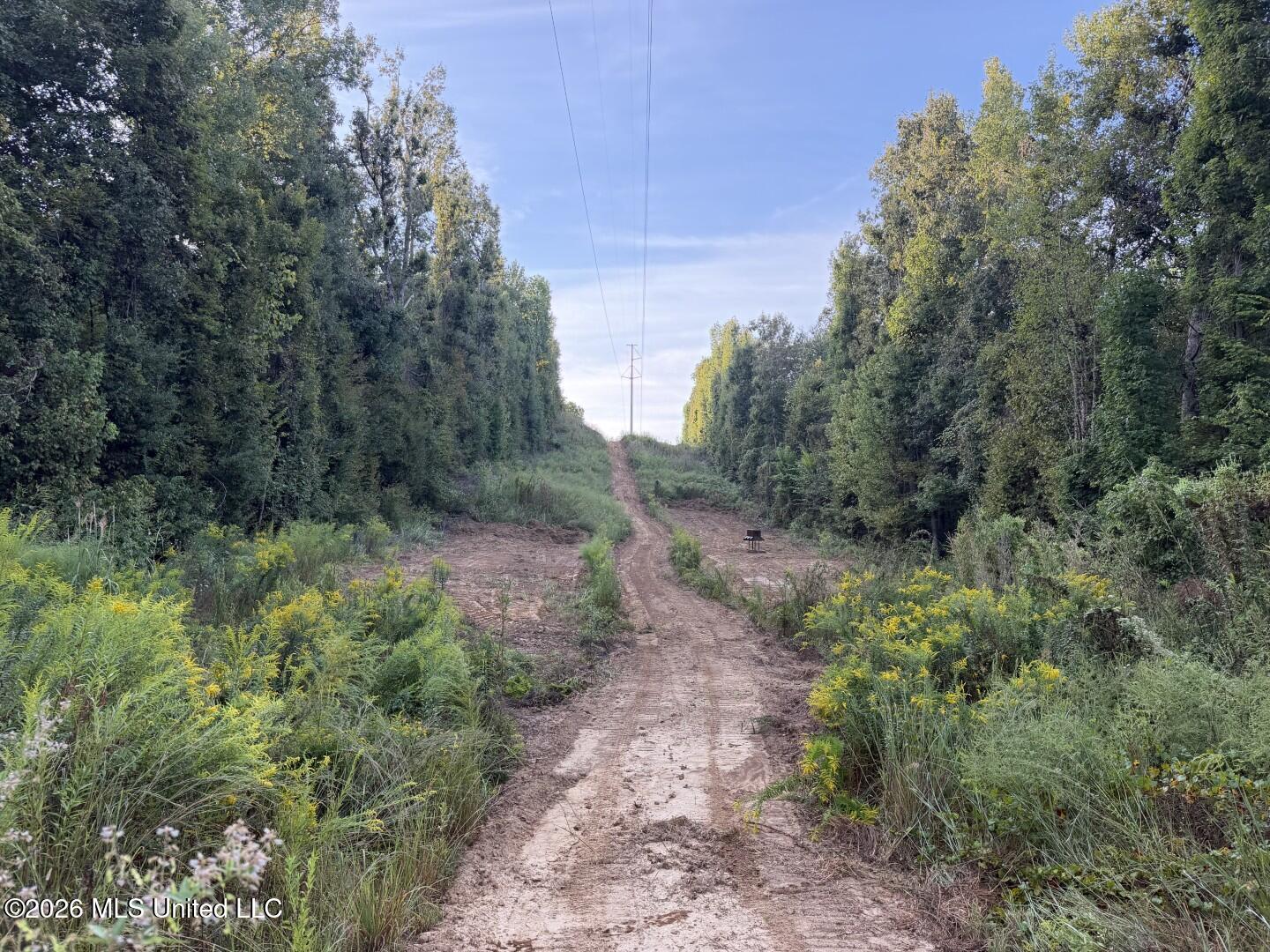 0 Judkins Road Property Photo 26