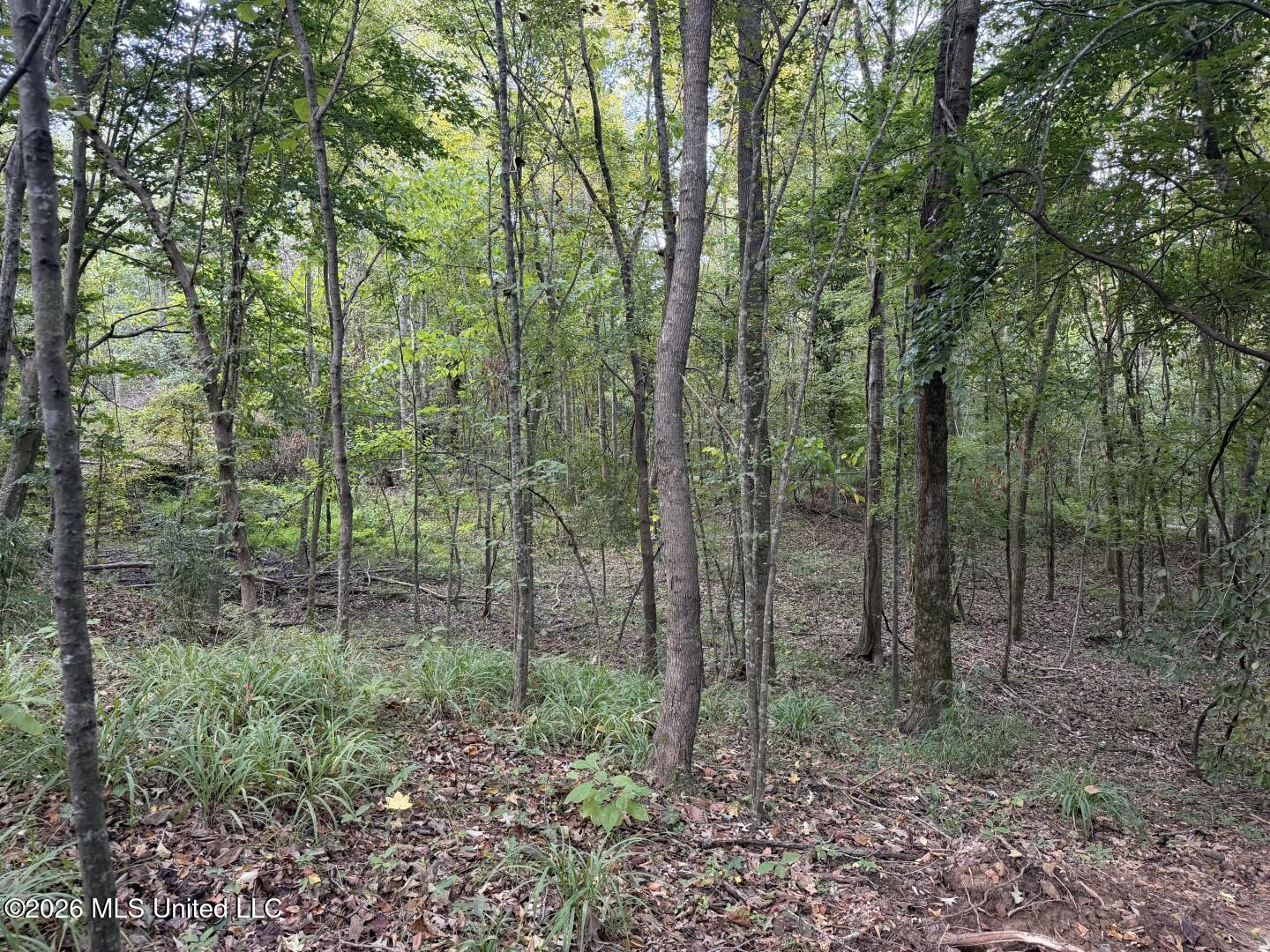 0 Judkins Road Property Photo 28