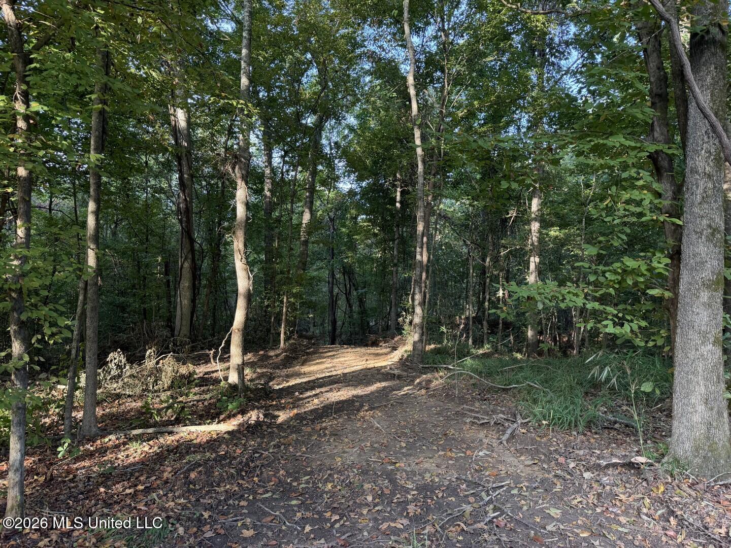 0 Judkins Road Property Photo 32
