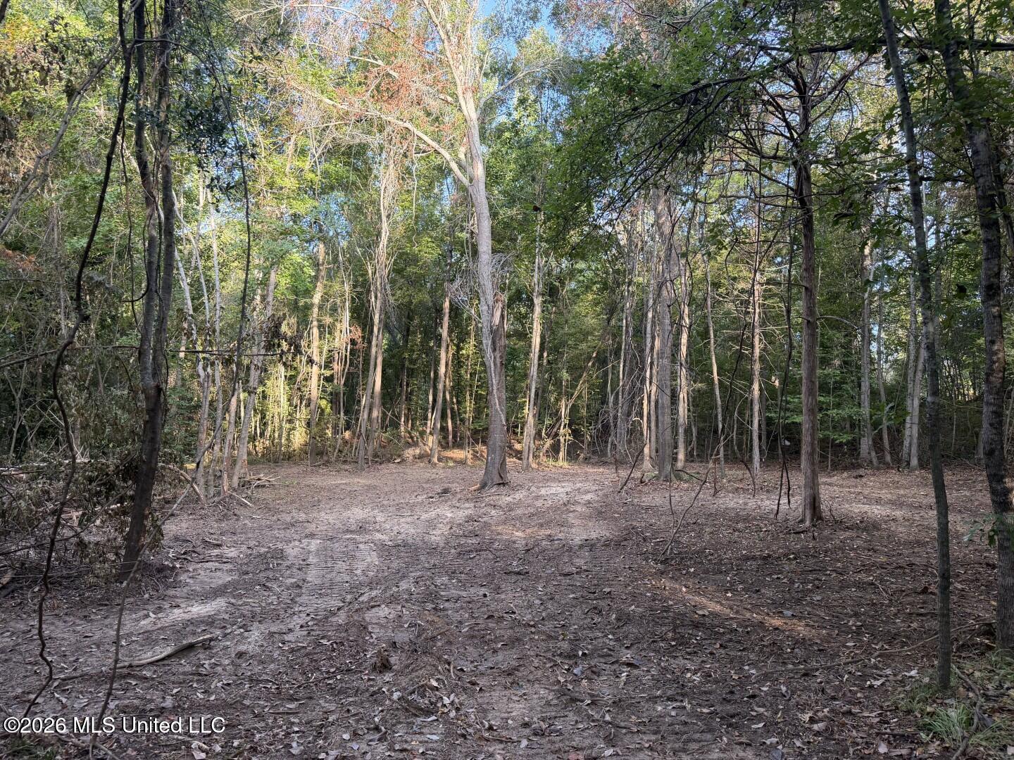0 Judkins Road Property Photo 33