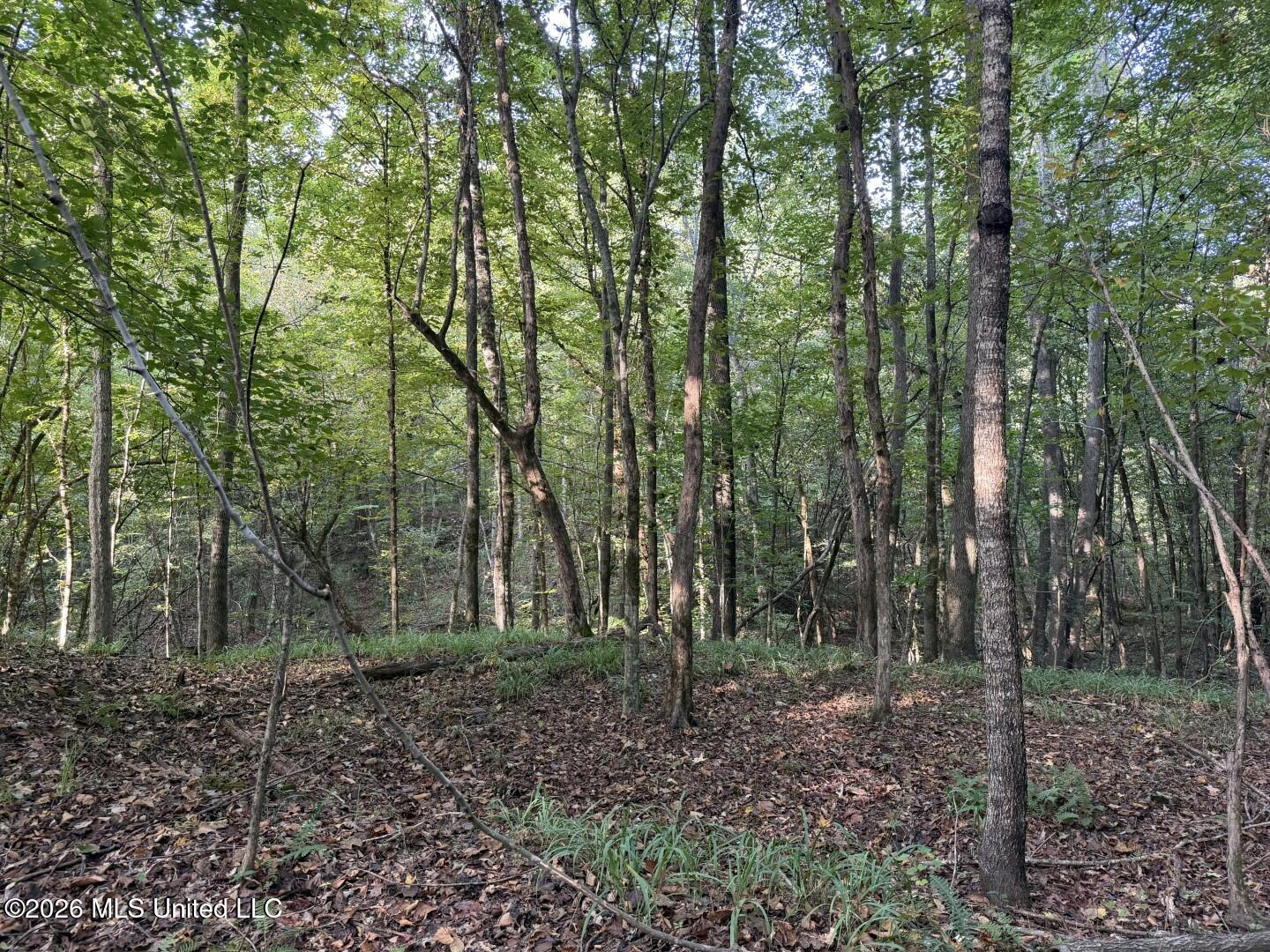0 Judkins Road Property Photo 34
