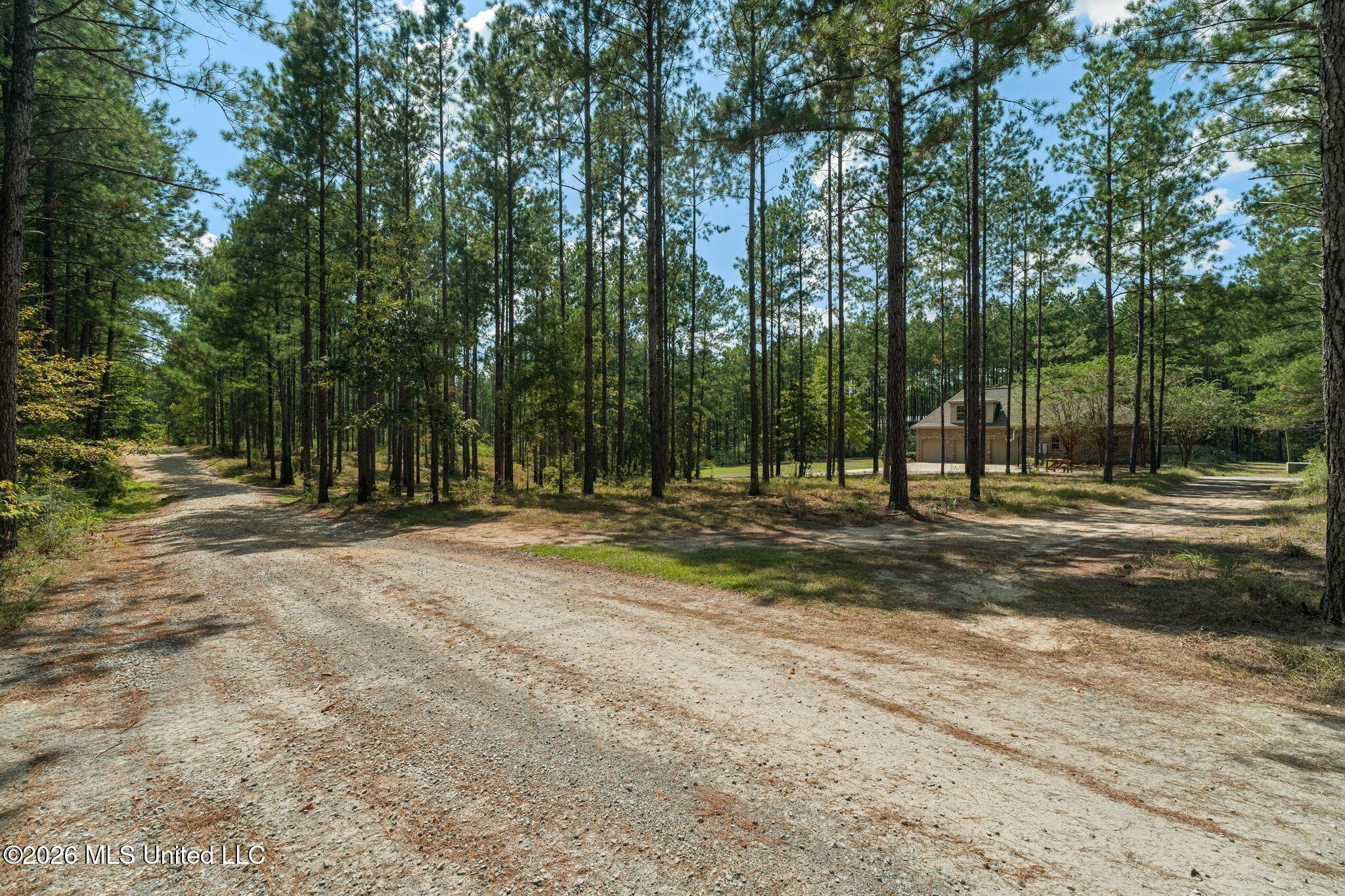 176 Big Hill Road Property Photo 7