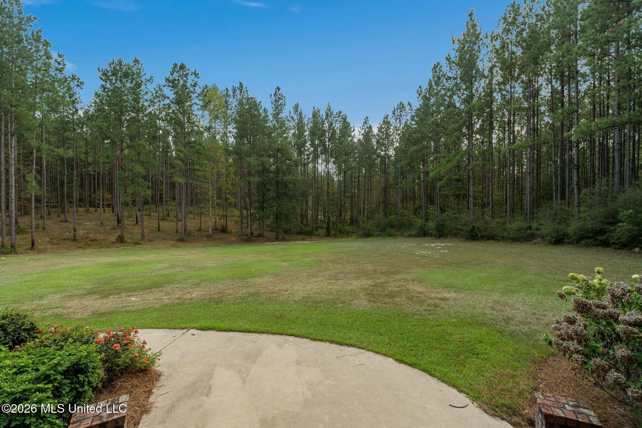 176 Big Hill Road Property Photo 9