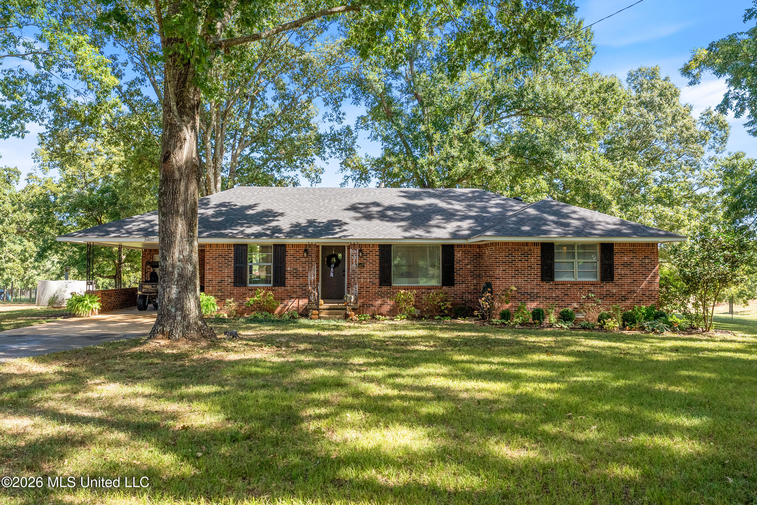 3407 Yellow Dog Road Property Photo 1