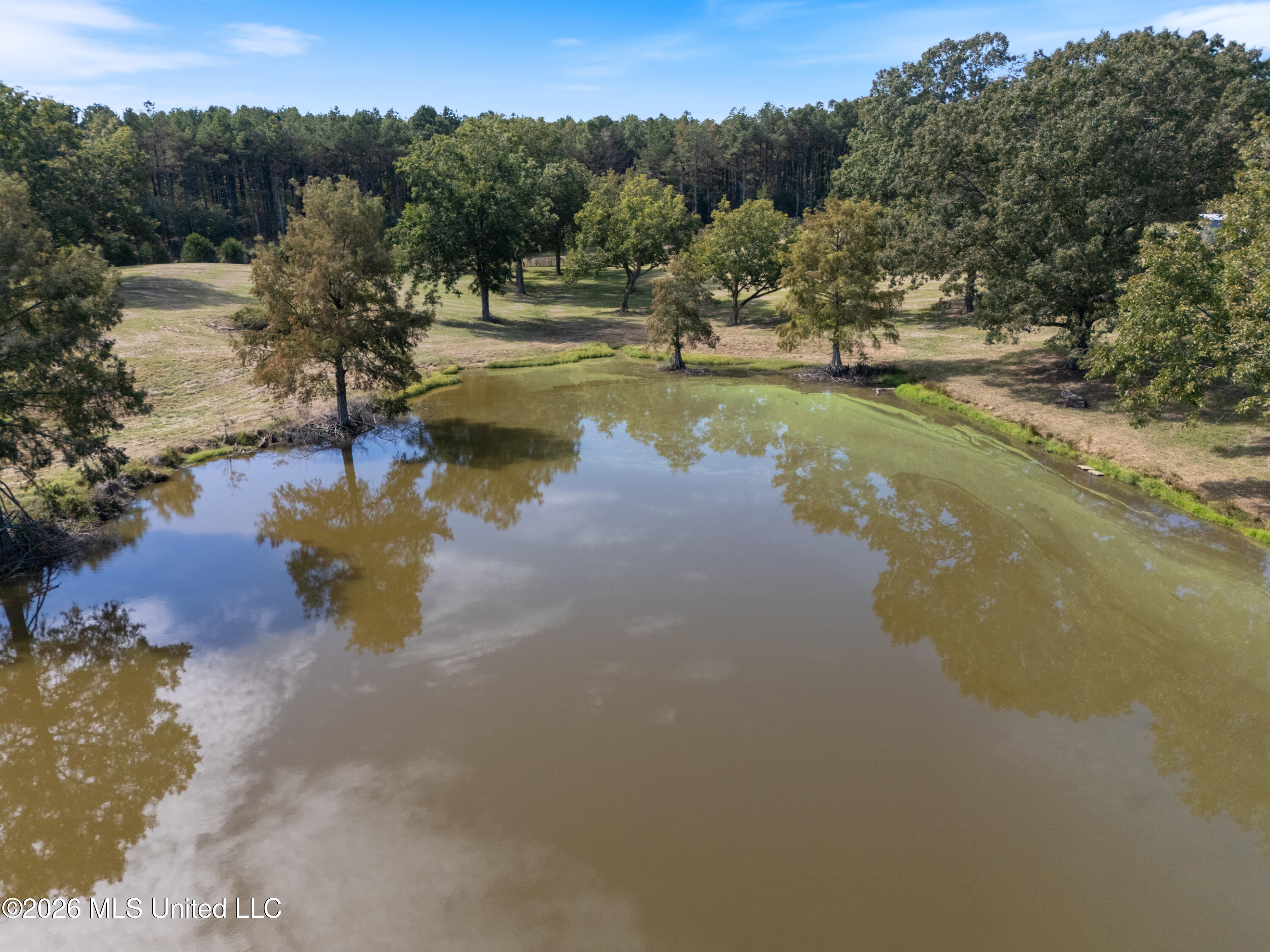3407 Yellow Dog Road Property Photo 5