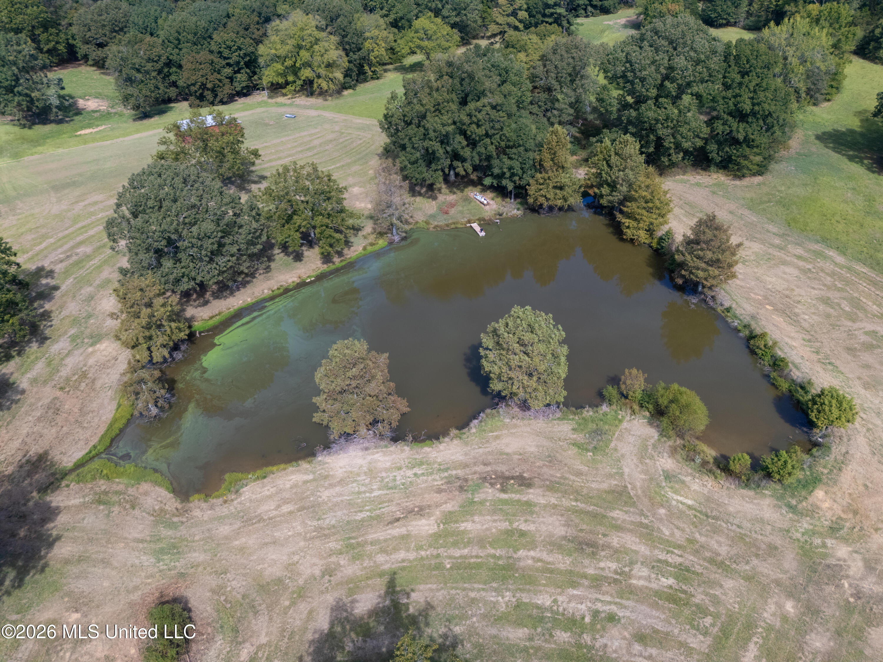 3407 Yellow Dog Road Property Photo 11