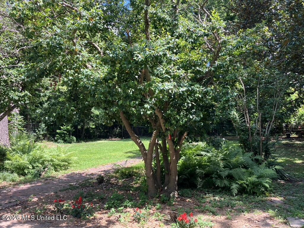 1211 River Road Property Photo 27