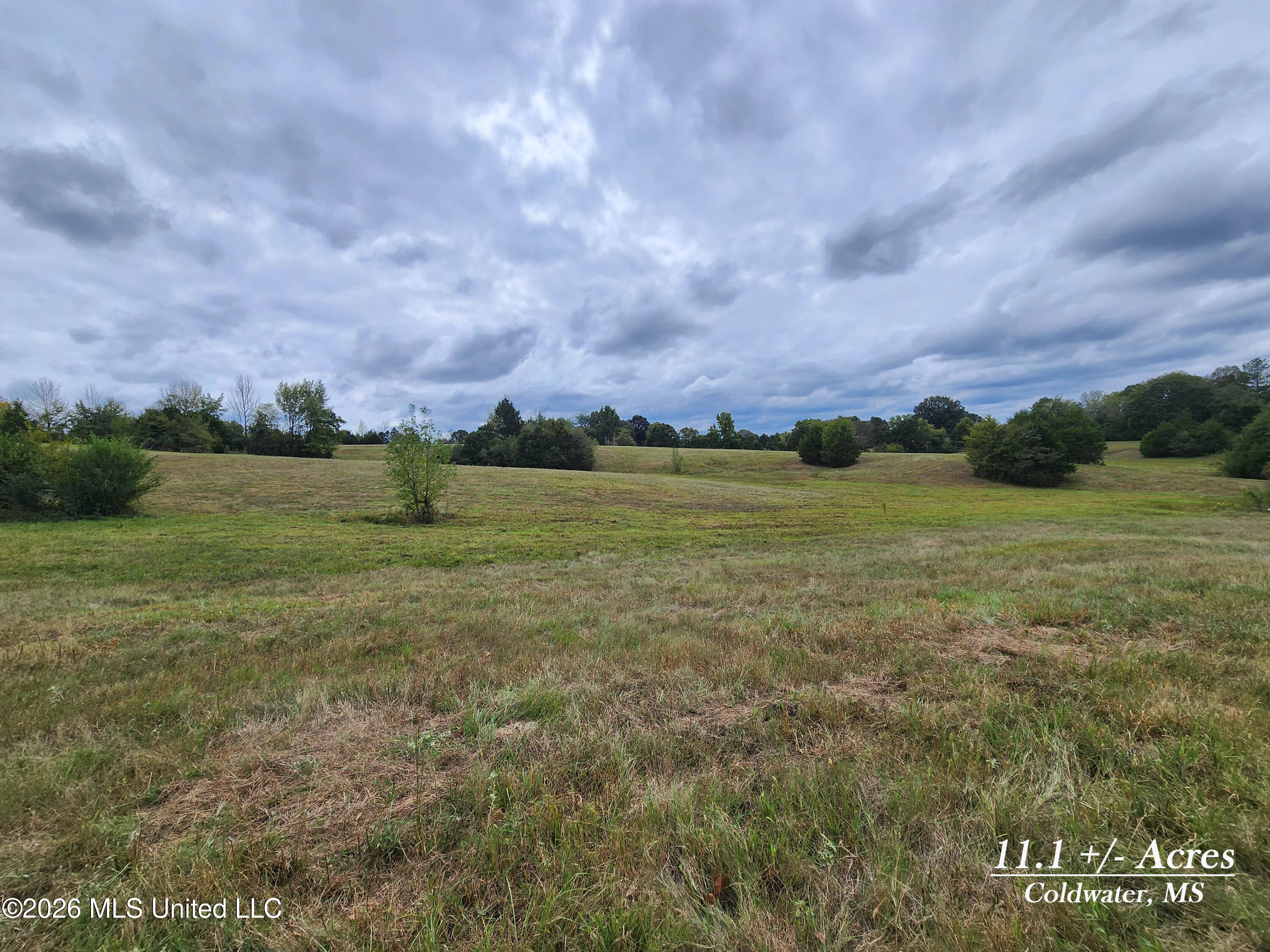 11.1 Bub Jamison Road Property Photo 1
