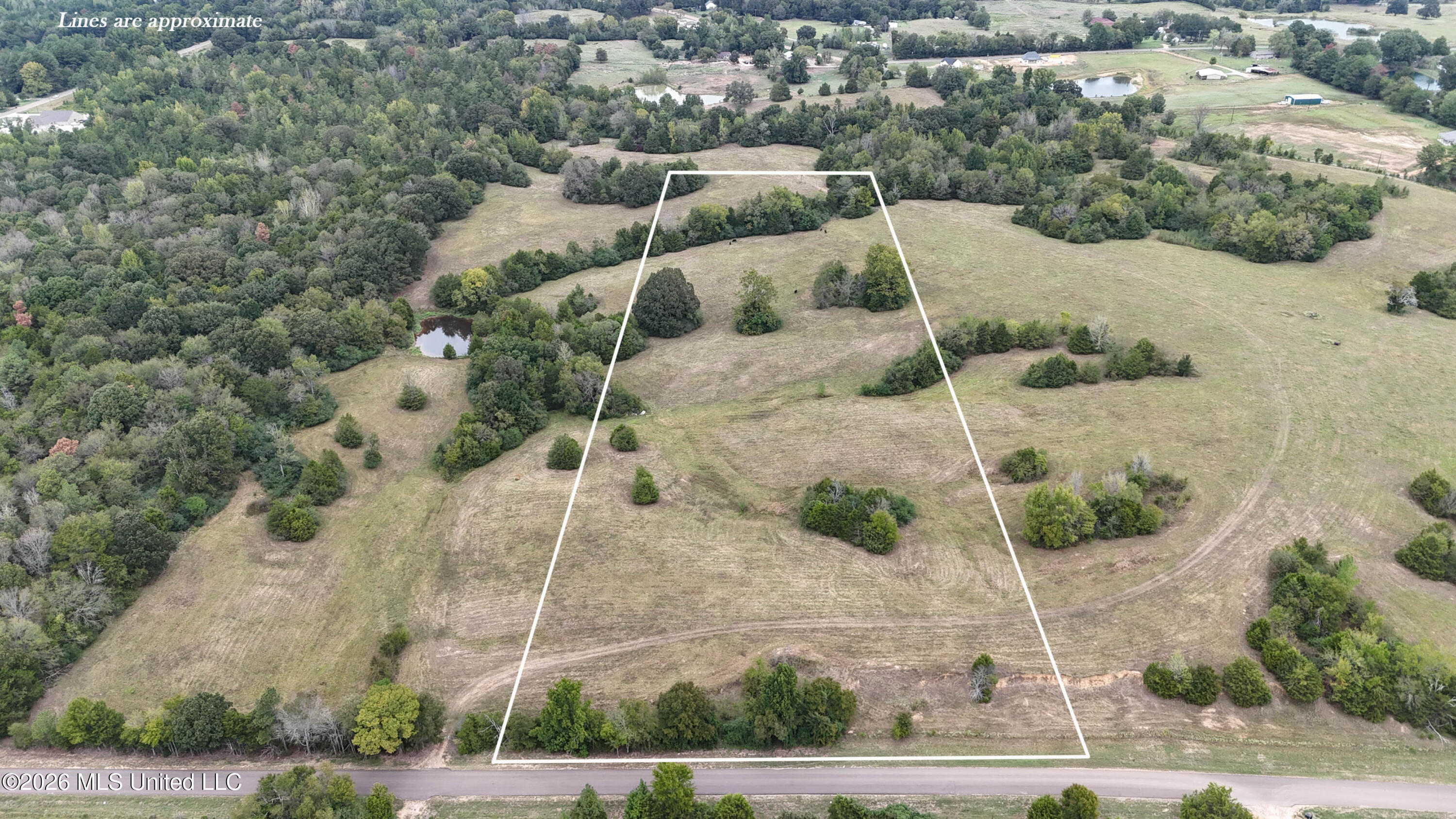 11.1 Bub Jamison Road Property Photo 3
