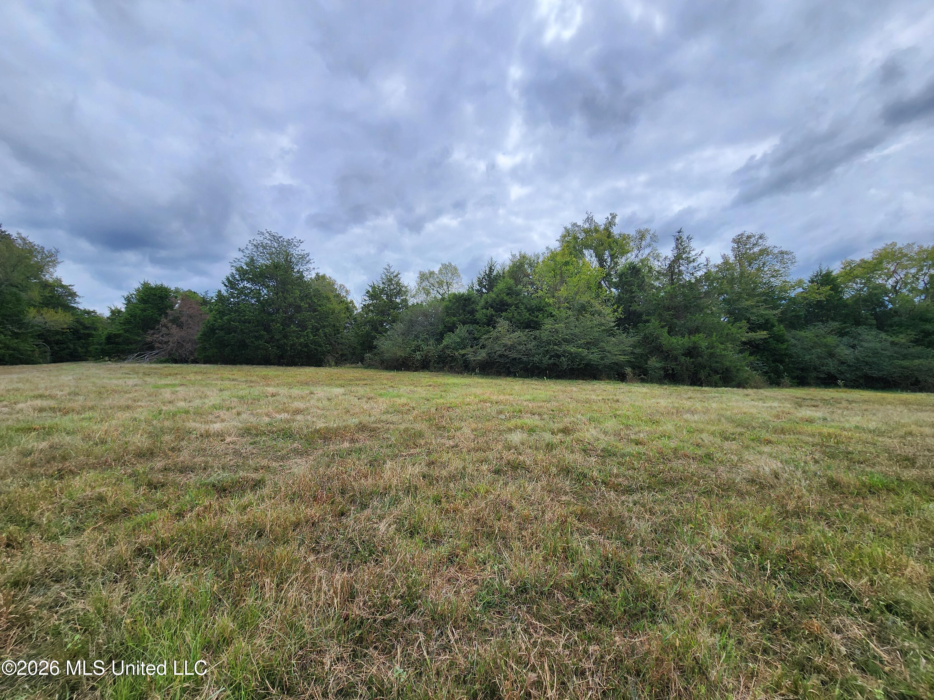 11.1 Bub Jamison Road Property Photo 6