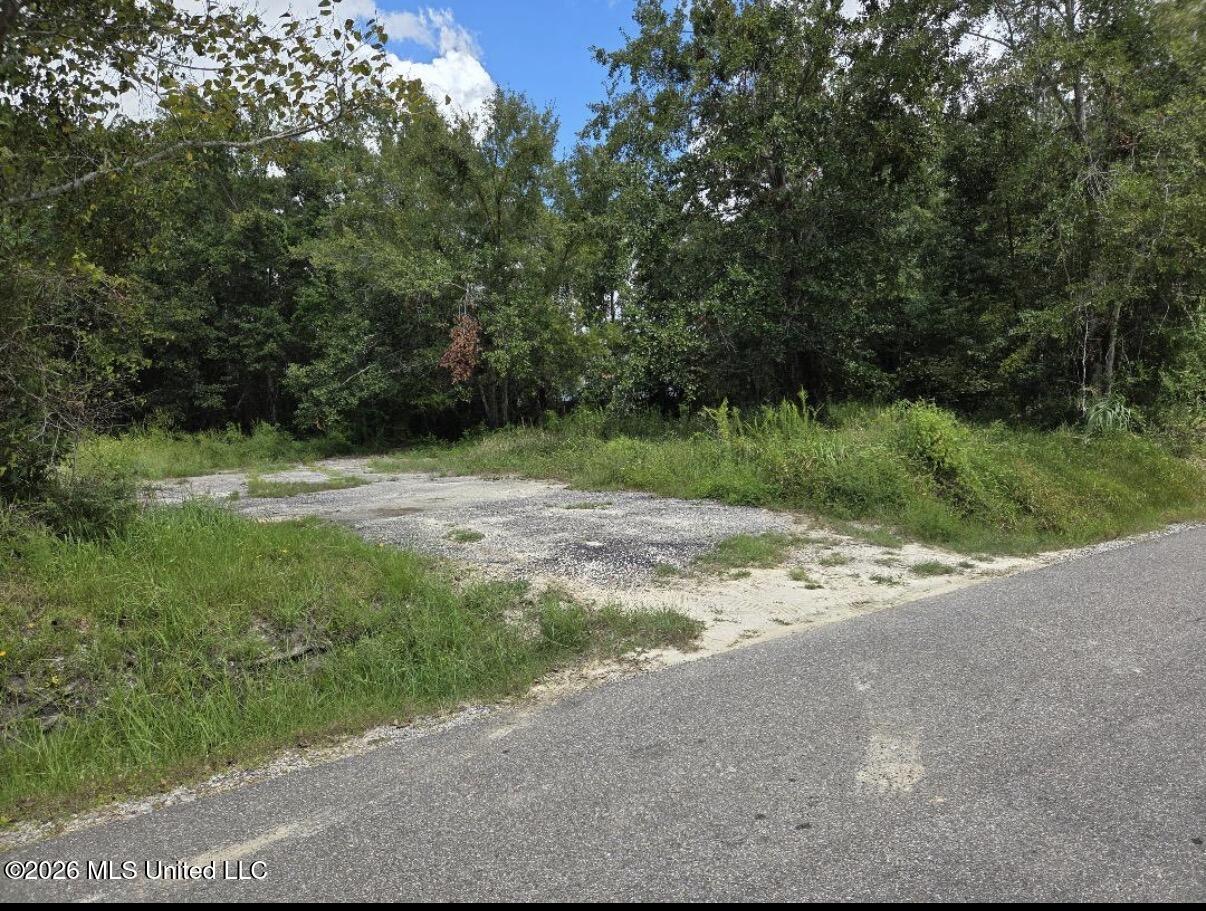 303 Julia Street Property Photo 2
