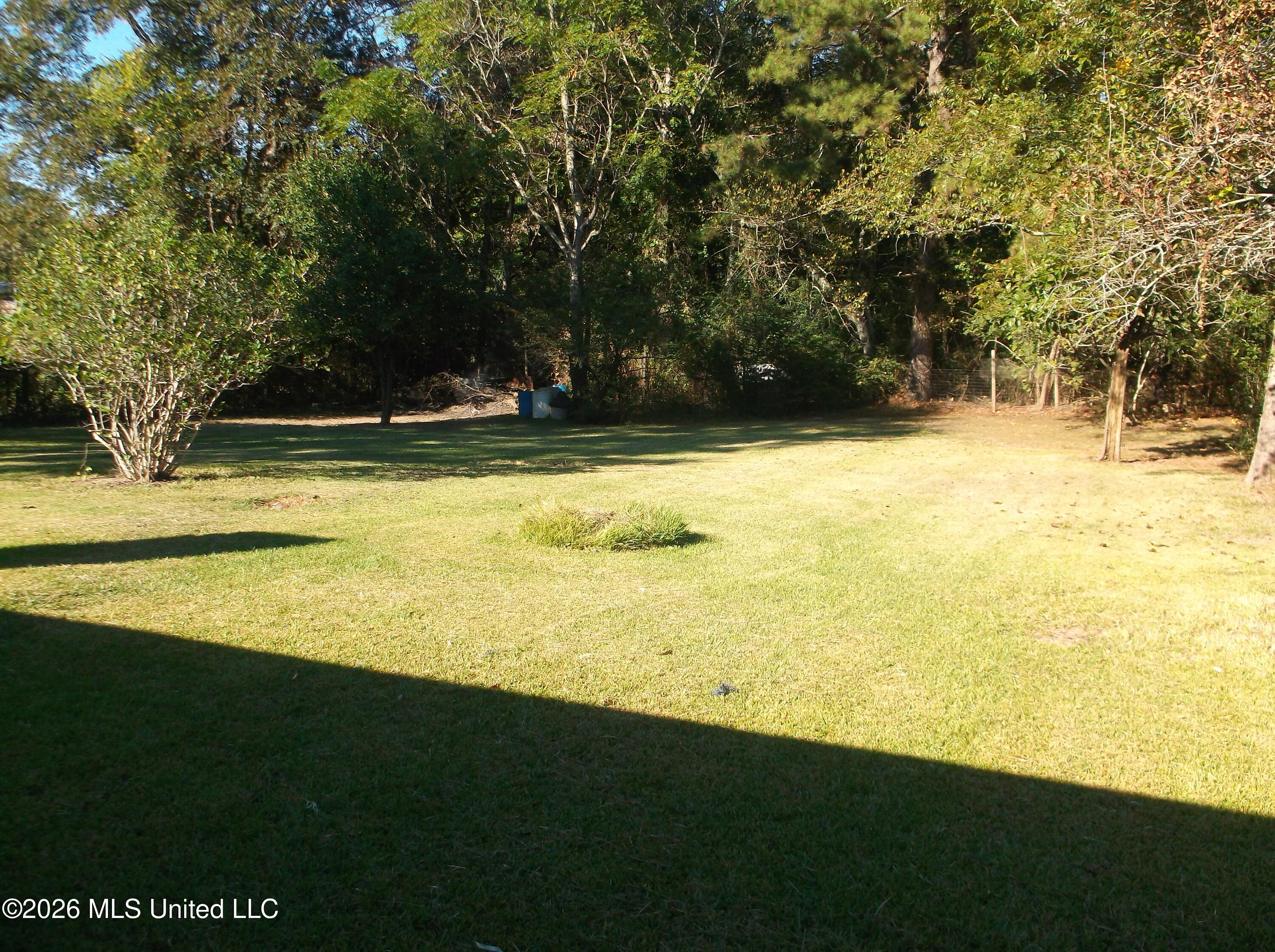 1005 Miller Lane Property Photo 14