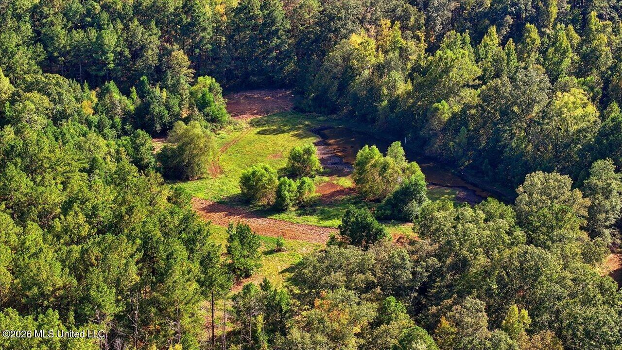 Springridge Rd Property Photo 14