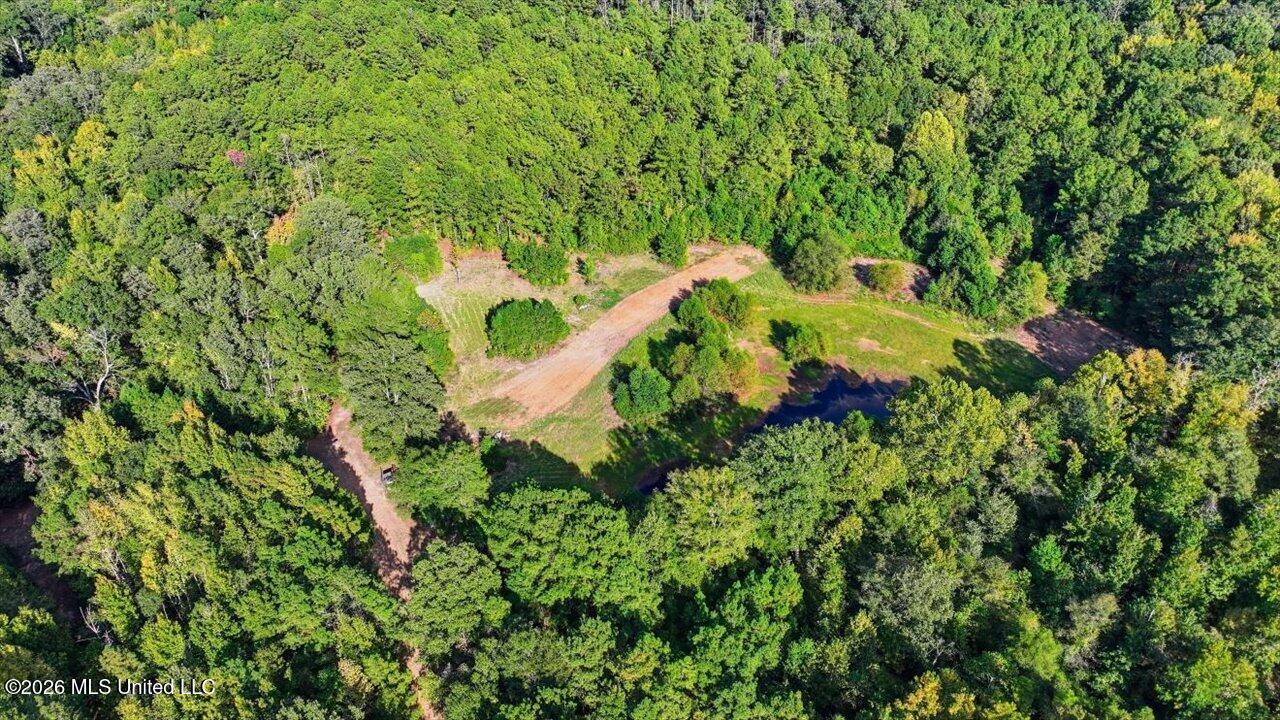 Springridge Rd Property Photo 21
