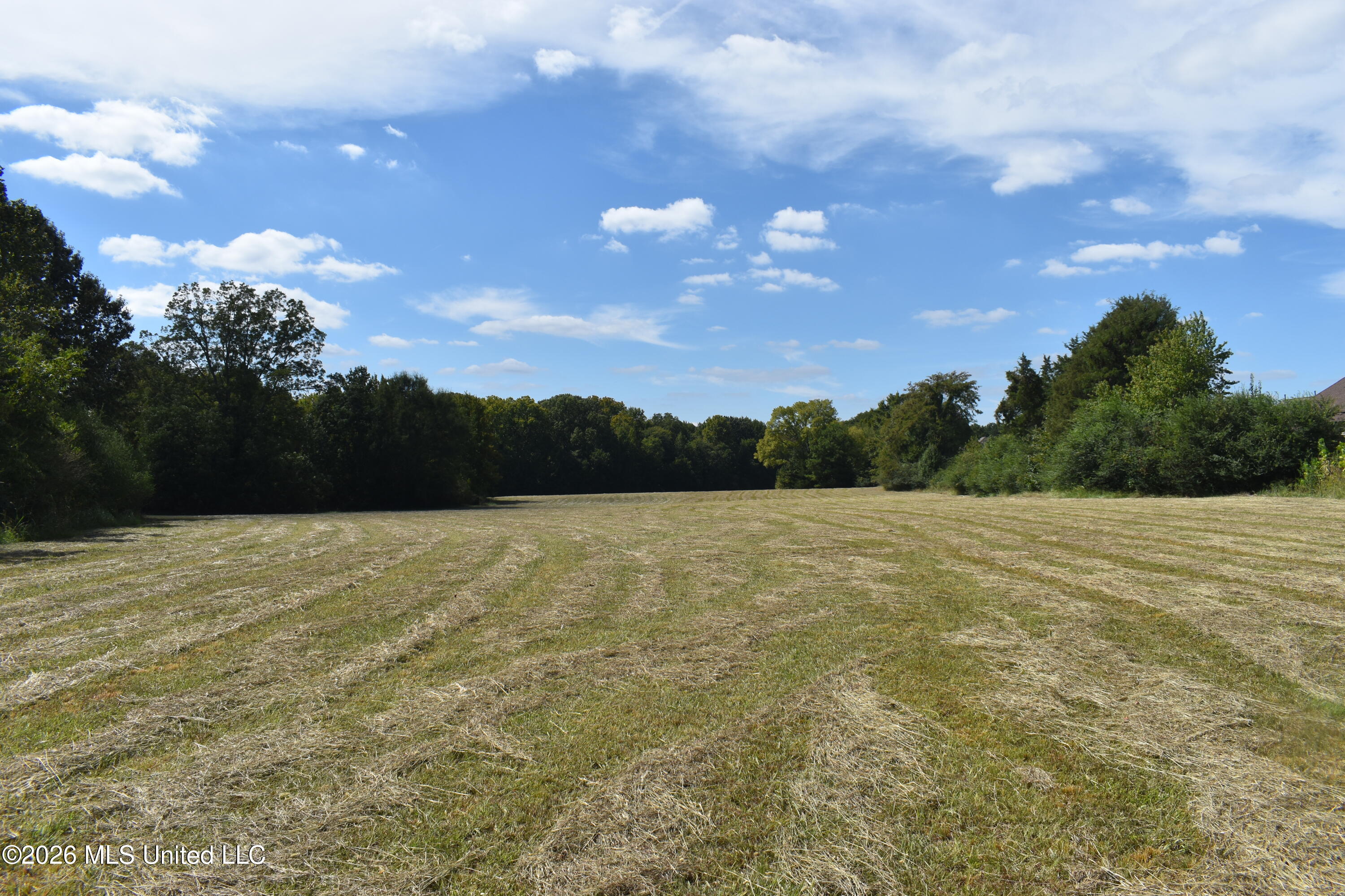1400 S Byhalia Road Property Photo 4