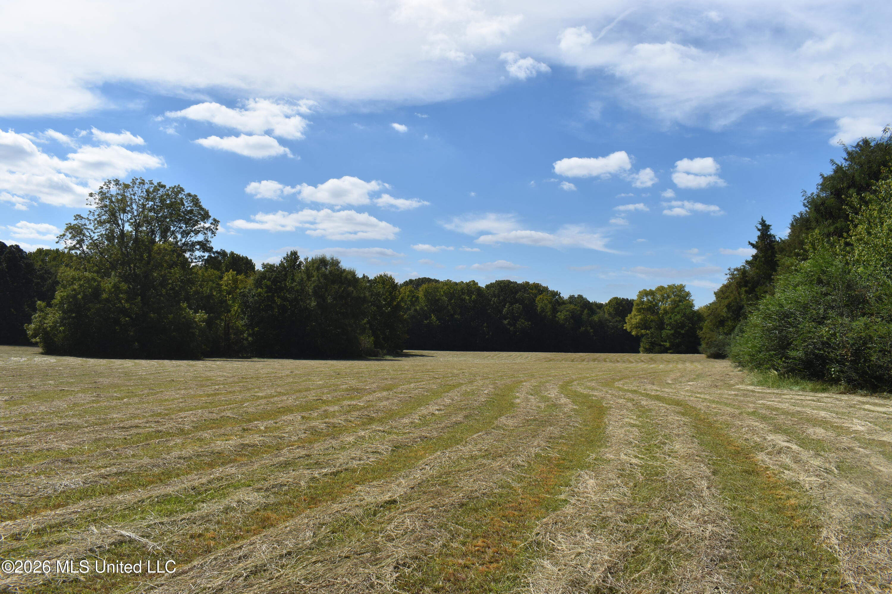 1400 S Byhalia Road Property Photo 14