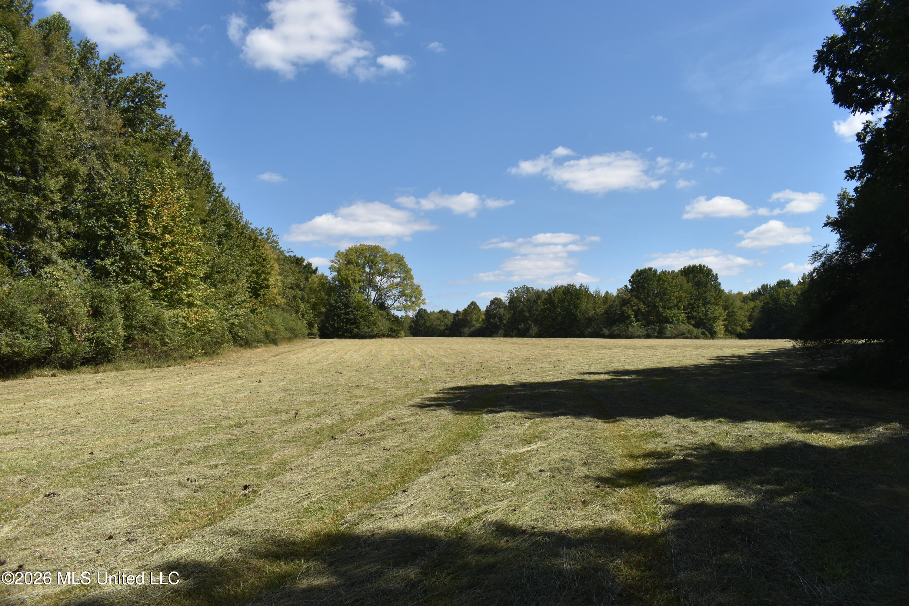 1400 S Byhalia Road Property Photo 31