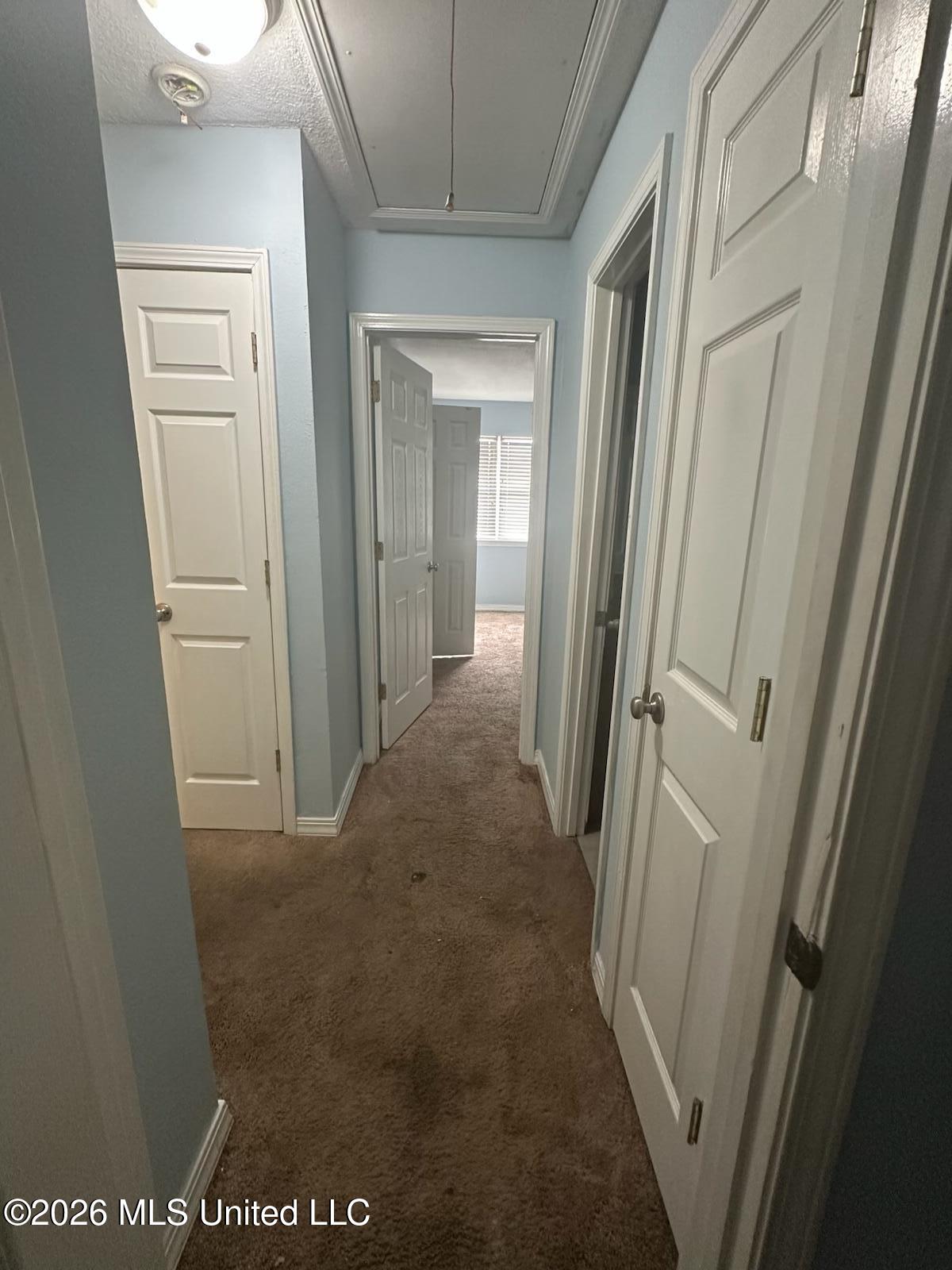 1625 Martin Bluff Road Property Photo 13