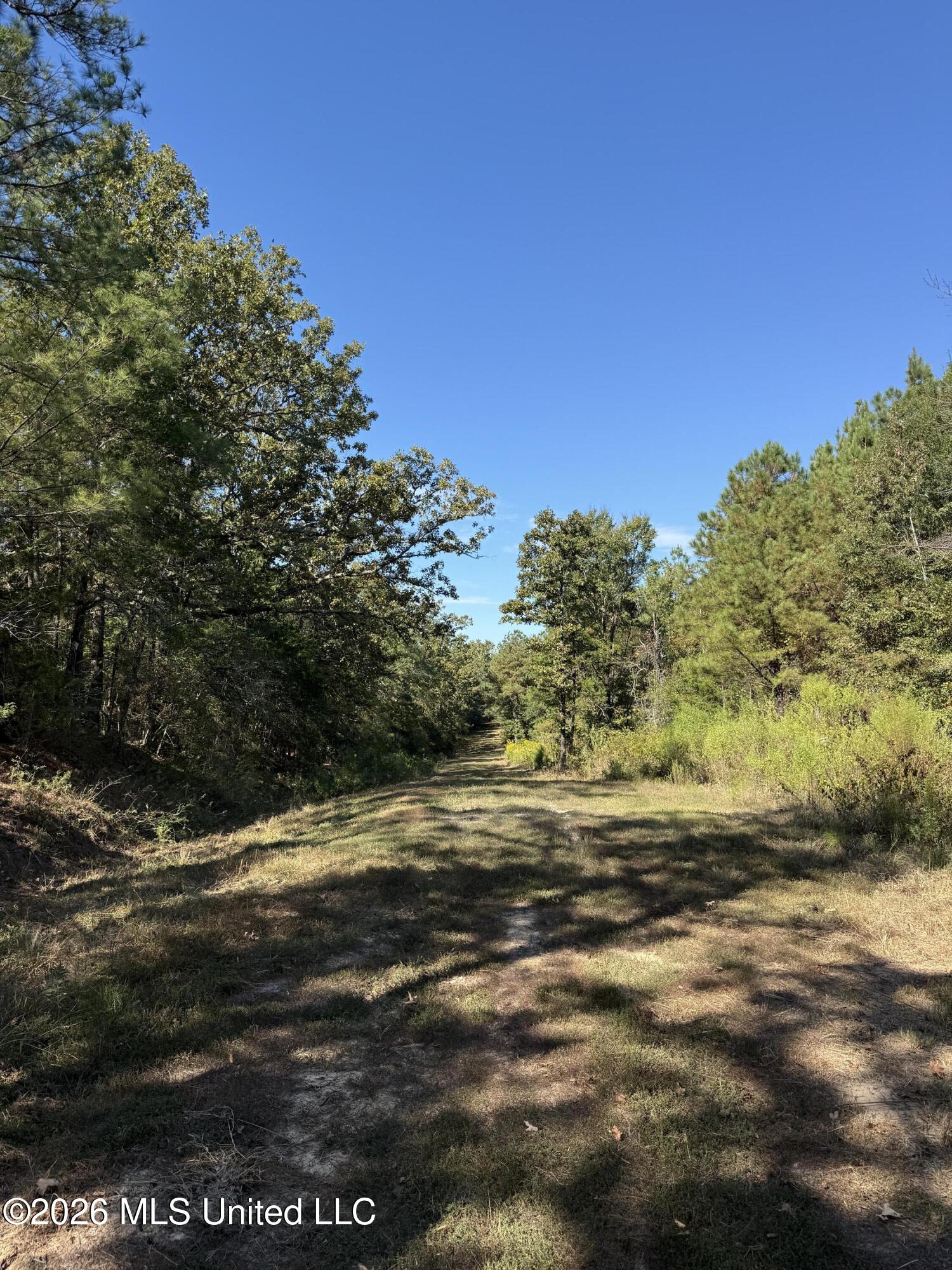 Old 51 Road Property Photo 1