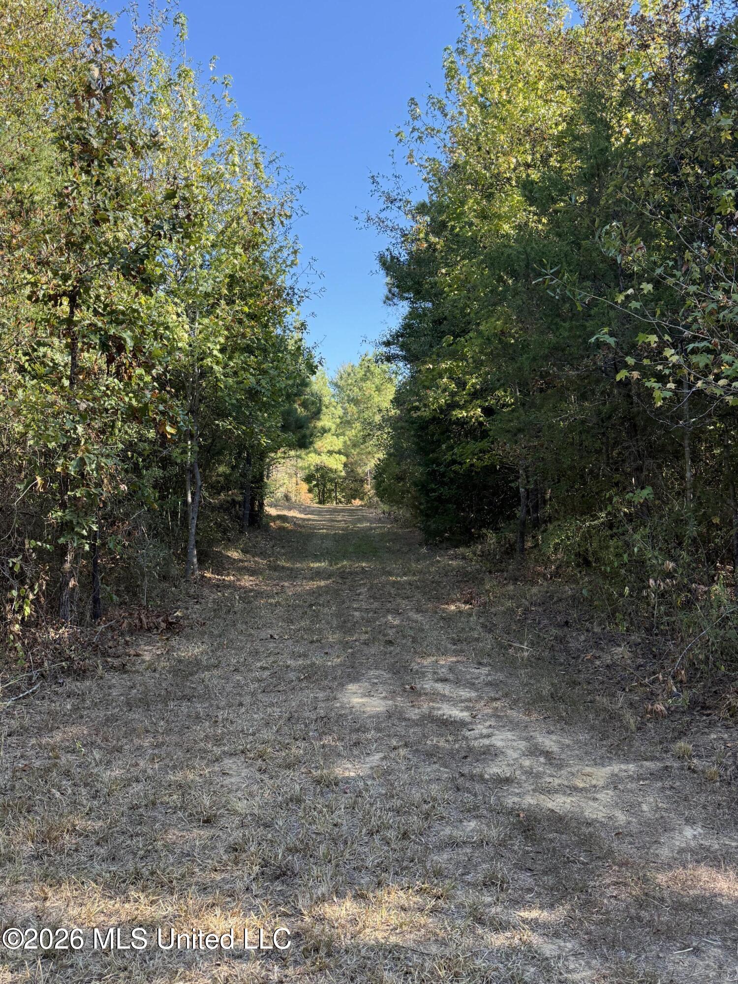 Old 51 Road Property Photo 3