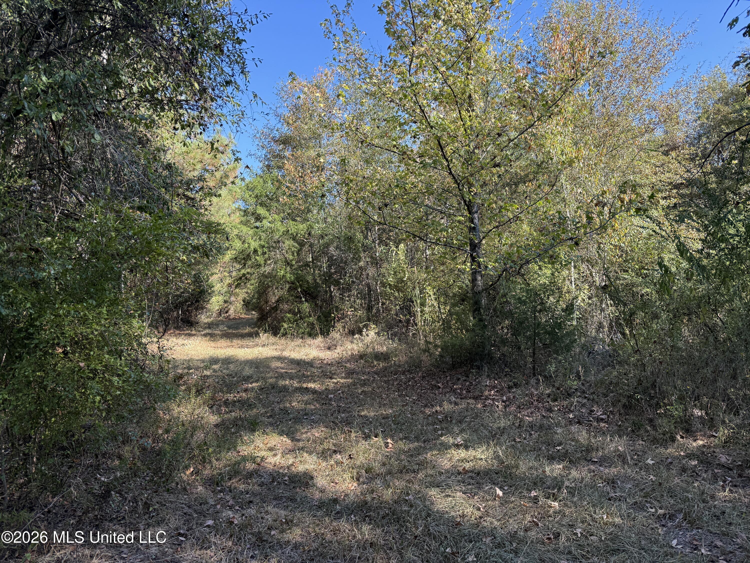 Old 51 Road Property Photo 4