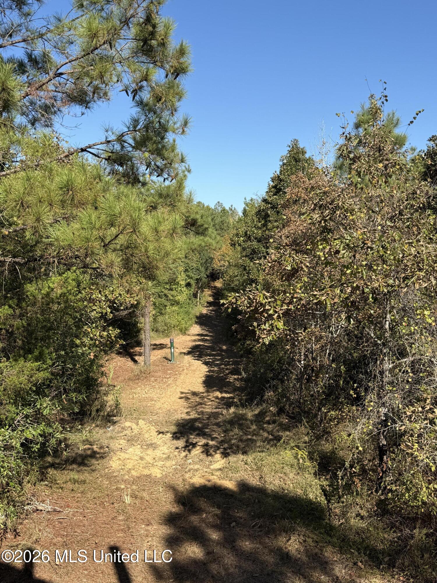 Old 51 Road Property Photo 9