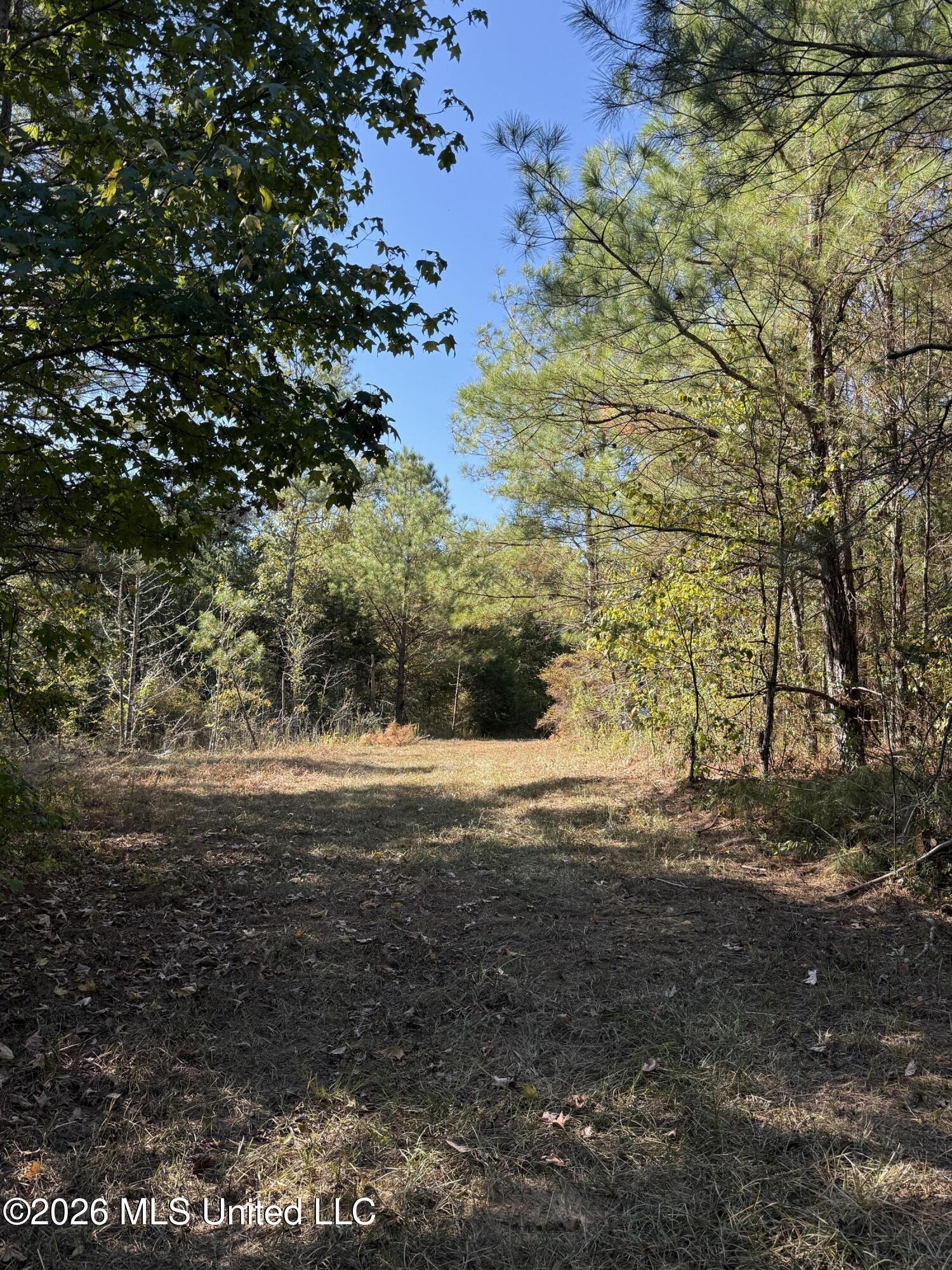 Old 51 Road Property Photo 16