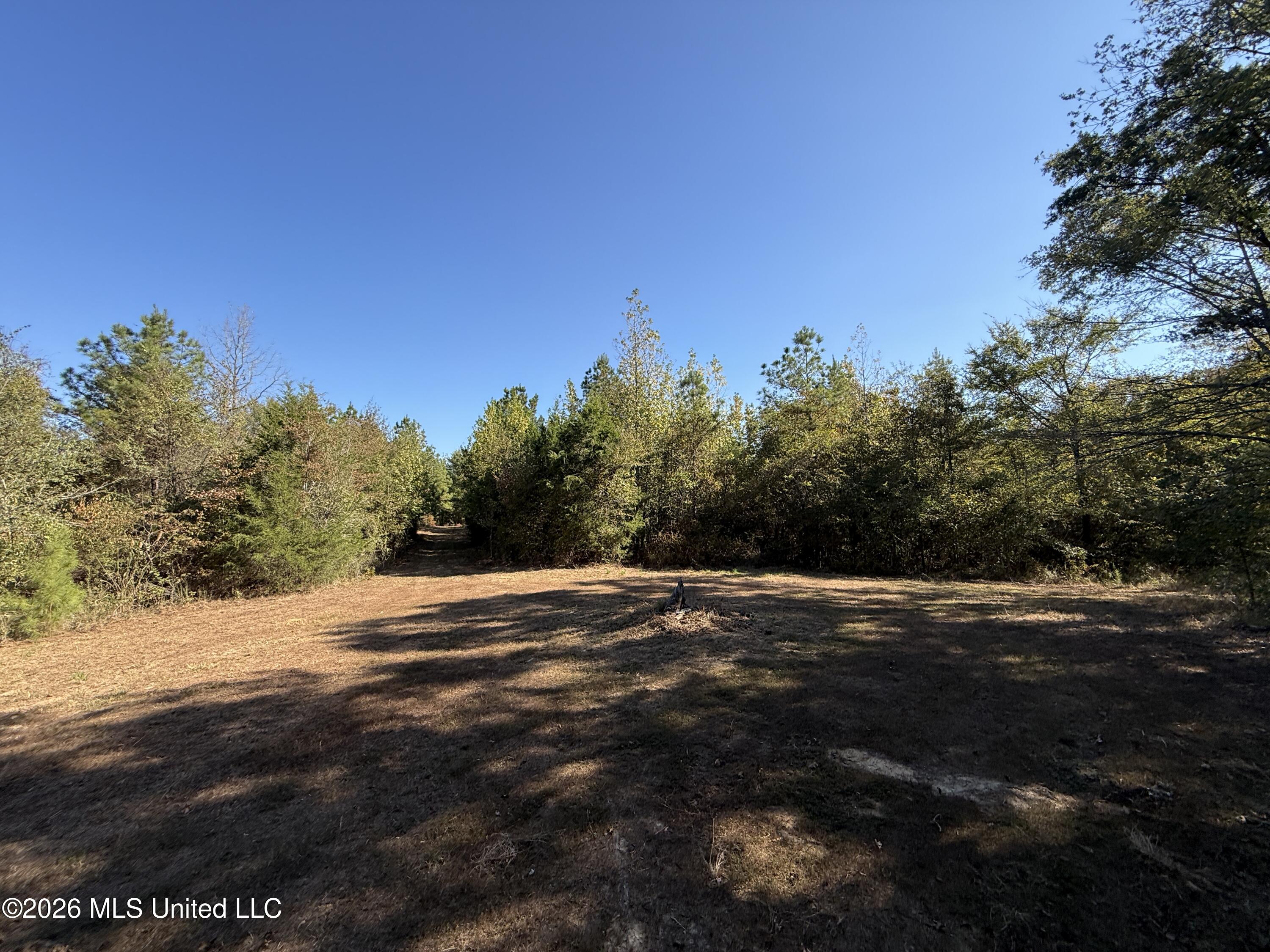 Old 51 Road Property Photo 17