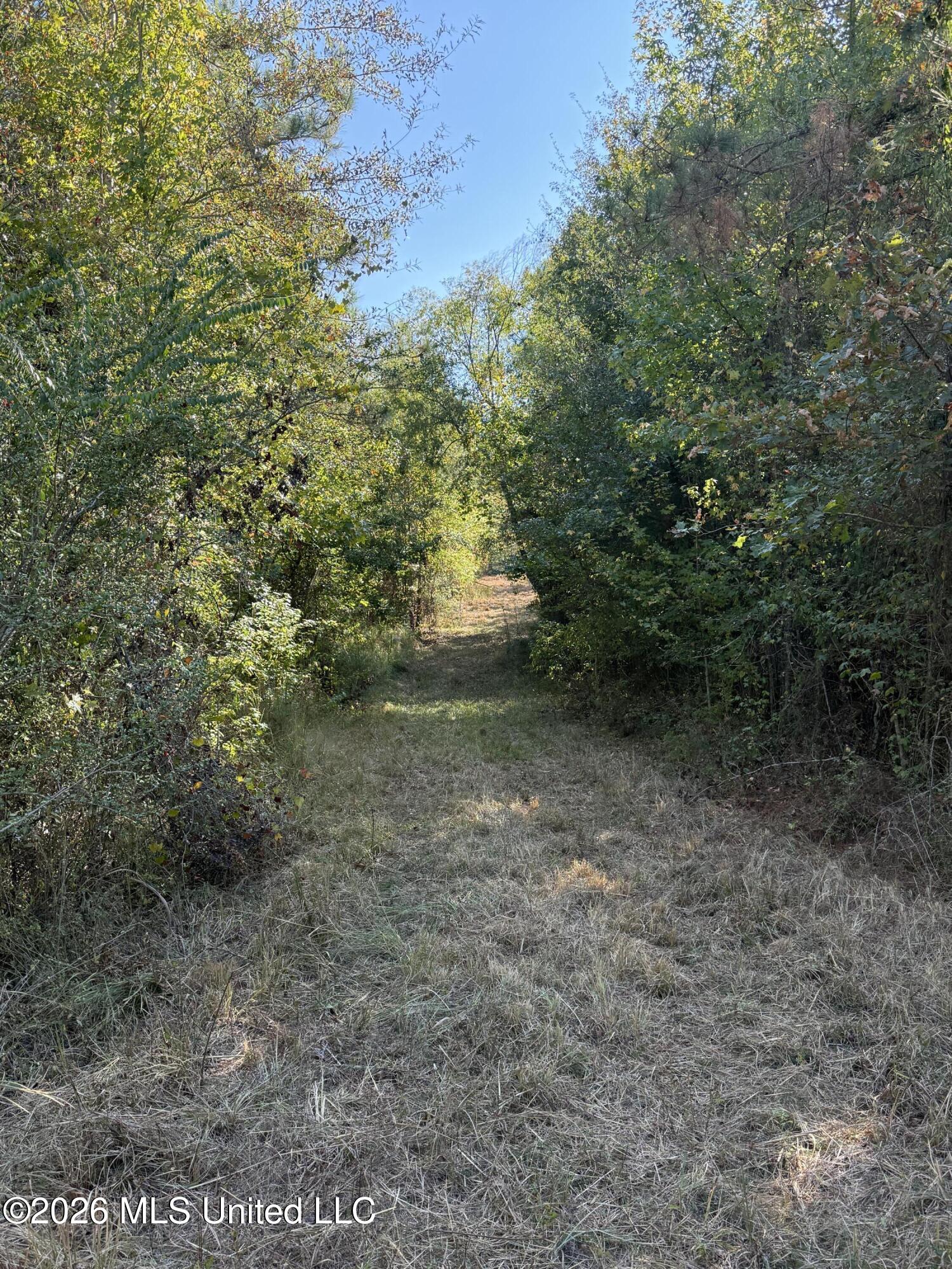 Old 51 Road Property Photo 18