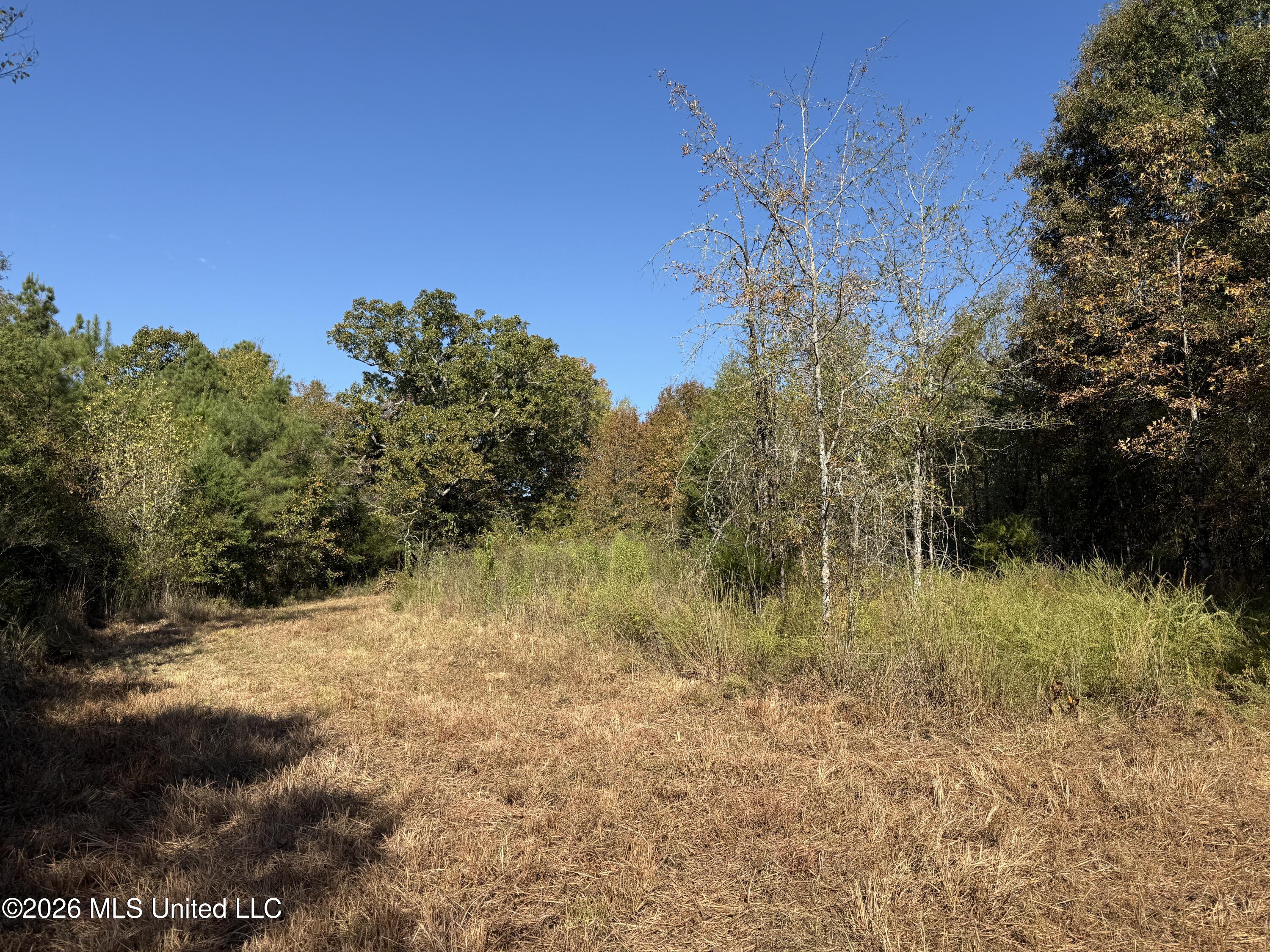 Old 51 Road Property Photo 19